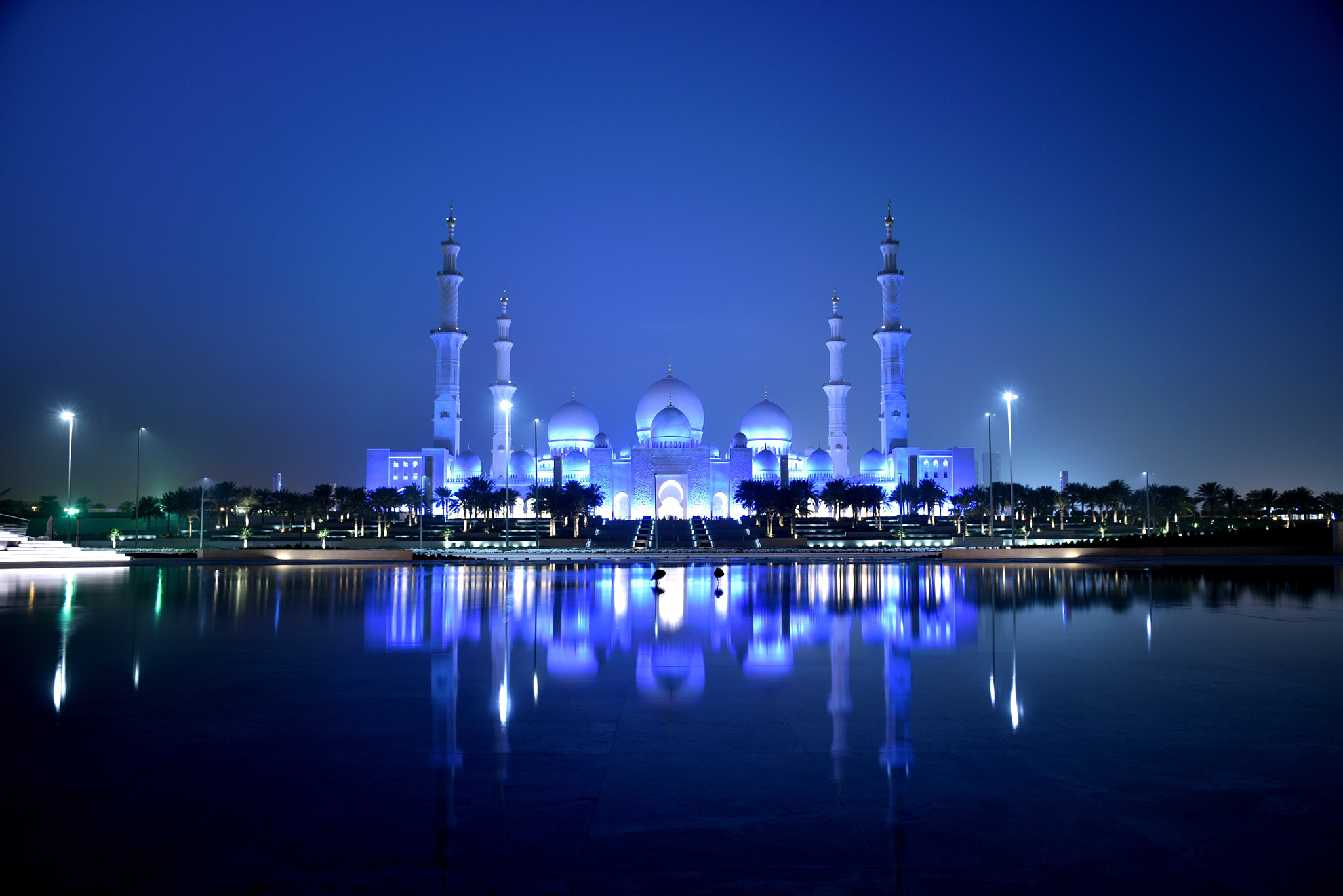 Nikon D810 sample photo. Grand mosque photography