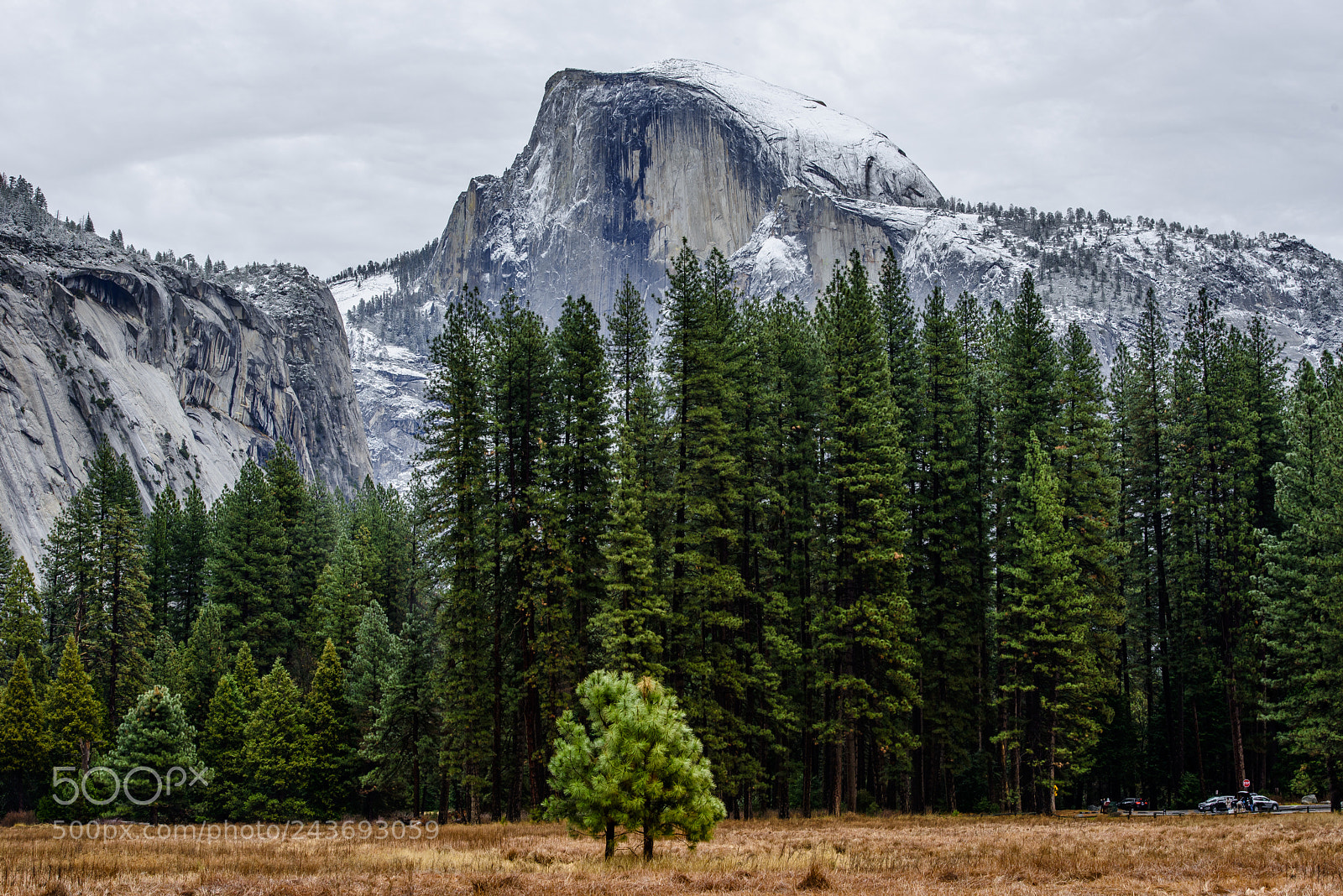 Nikon D800E sample photo. Half dome photography