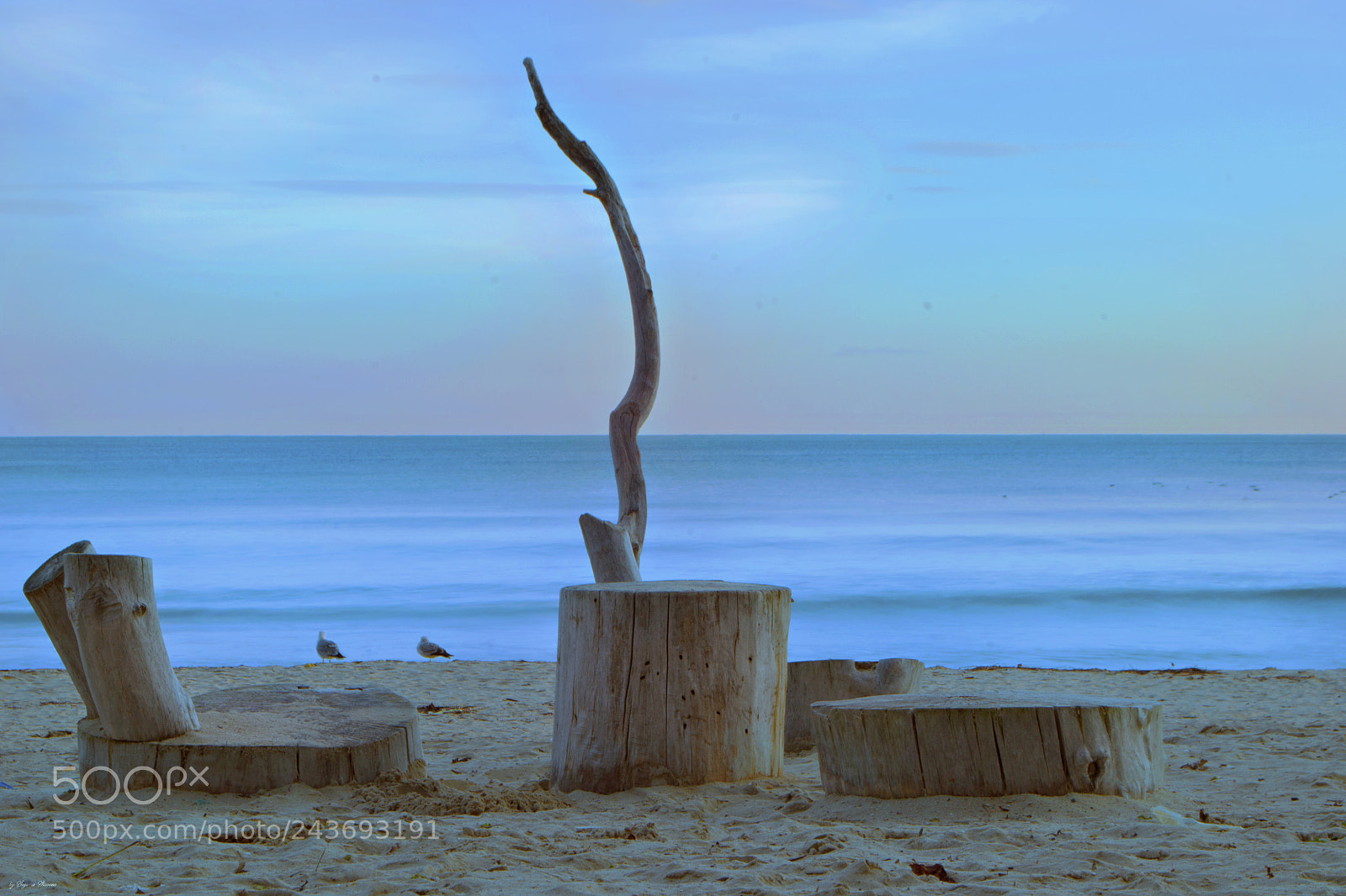 Nikon D3100 sample photo. Lovely evening photography
