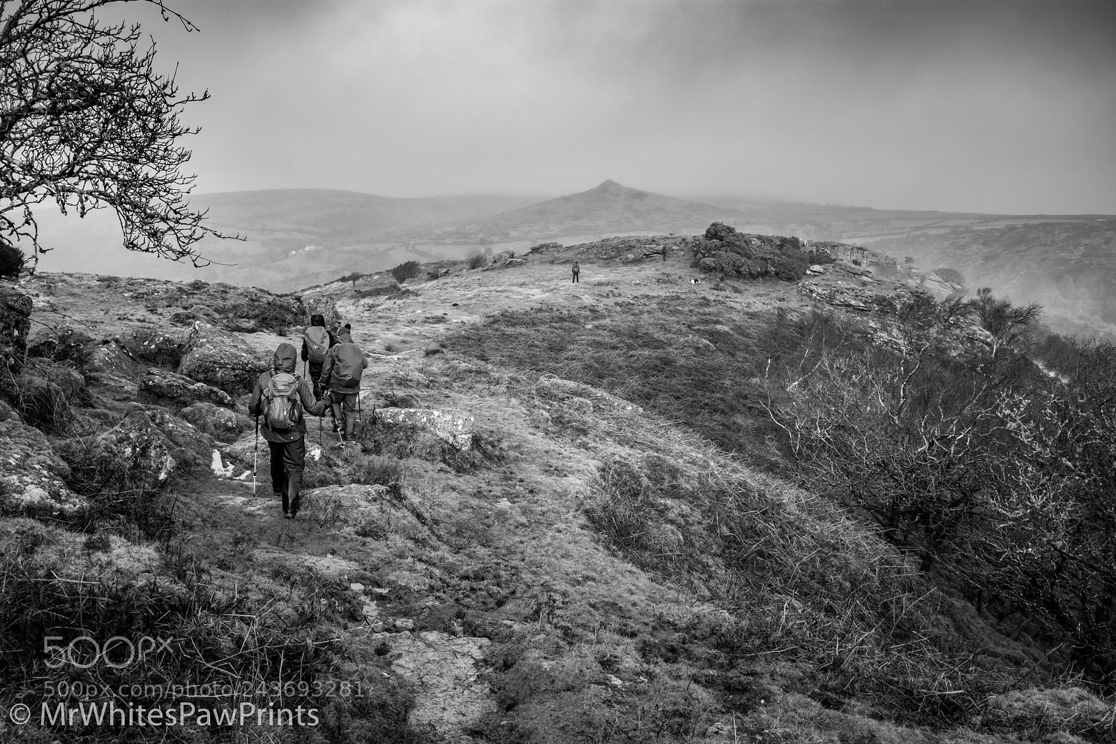 Nikon D7100 sample photo. Bench tor, dartmoor photography