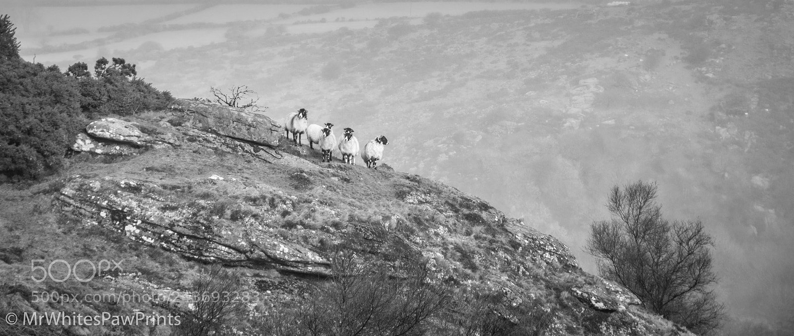 Nikon D7100 sample photo. Bench tor, dartmoor photography