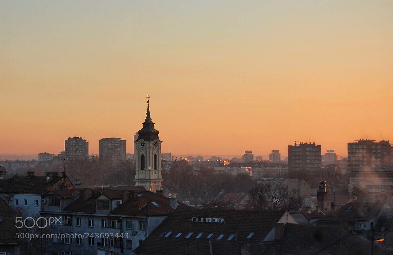 Nikon D40 sample photo. Beautiful zemun ❤️ photography