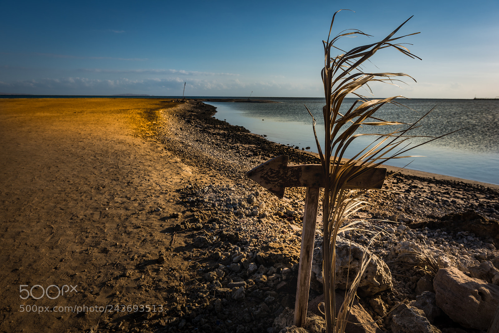 Nikon D610 sample photo. Way to nowhere photography
