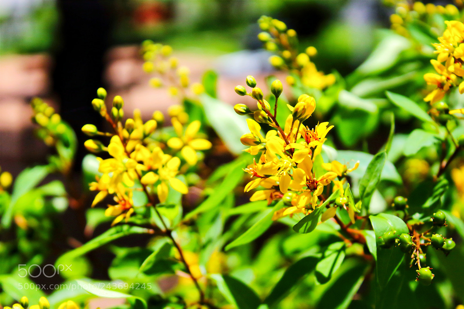Canon EOS 1200D (EOS Rebel T5 / EOS Kiss X70 / EOS Hi) sample photo. Exercitando a fotografia photography