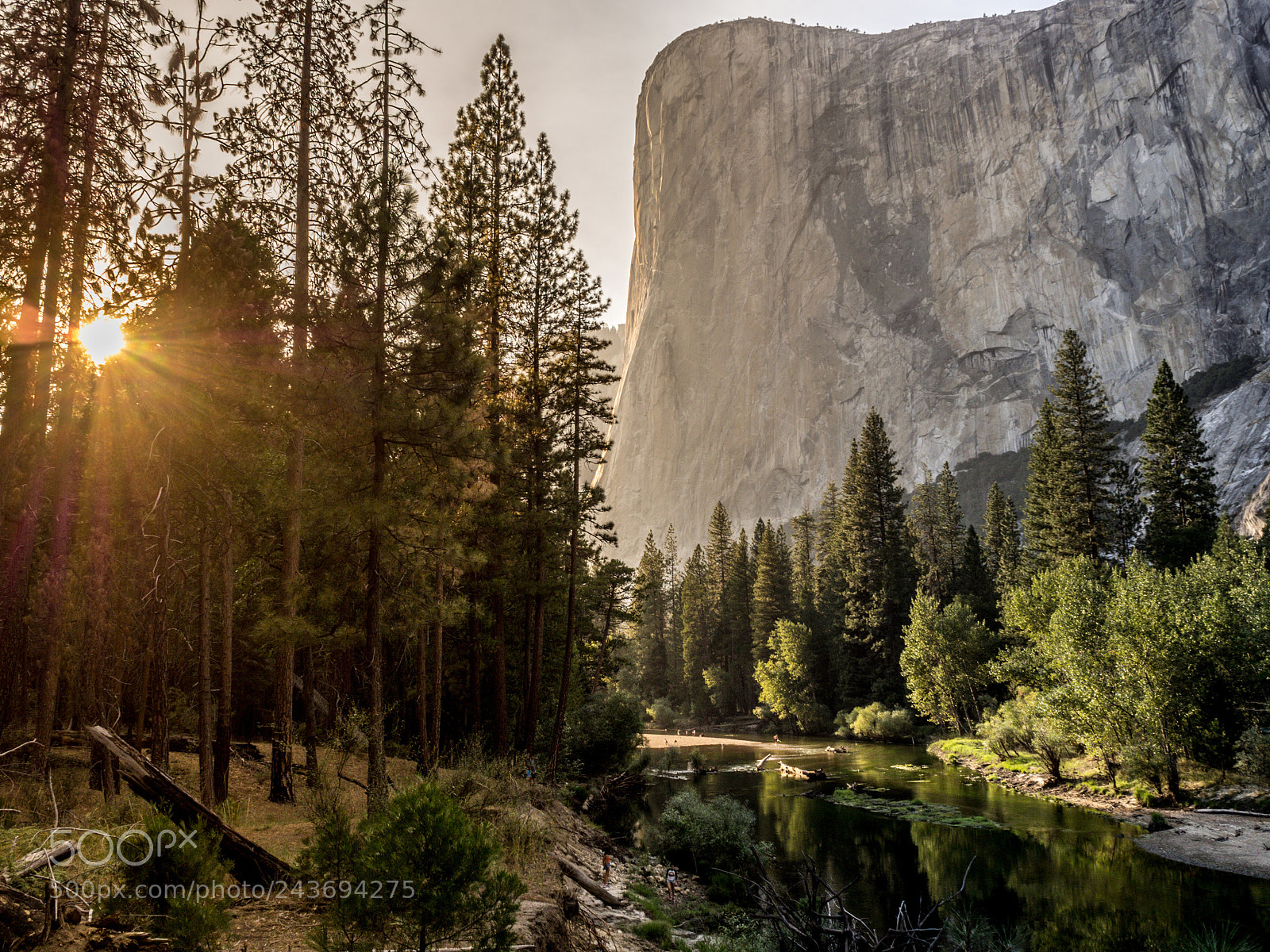 Olympus OM-D E-M10 II sample photo. Yosemite photography