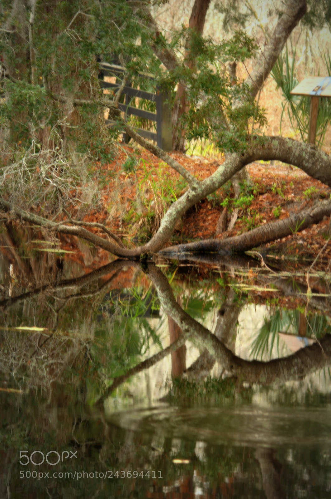 Nikon D300 sample photo. U photography
