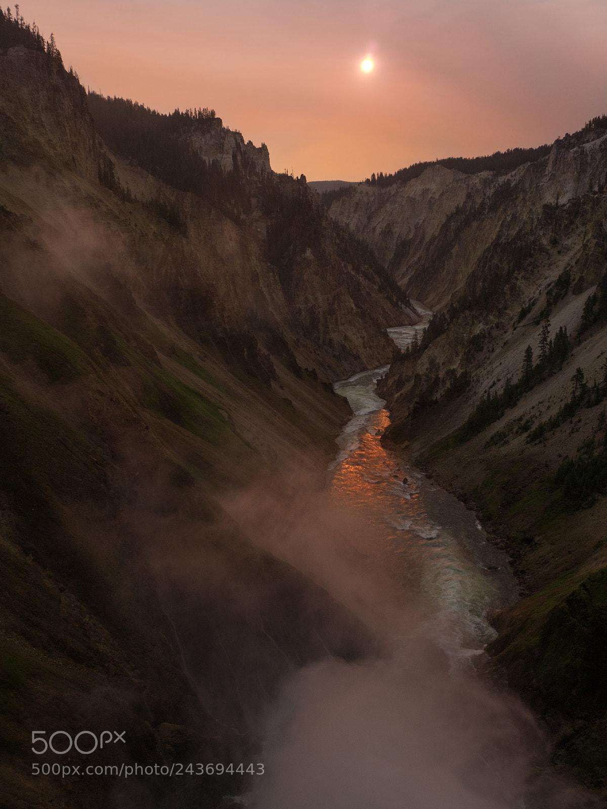 Olympus OM-D E-M10 II sample photo. Yellowstone photography