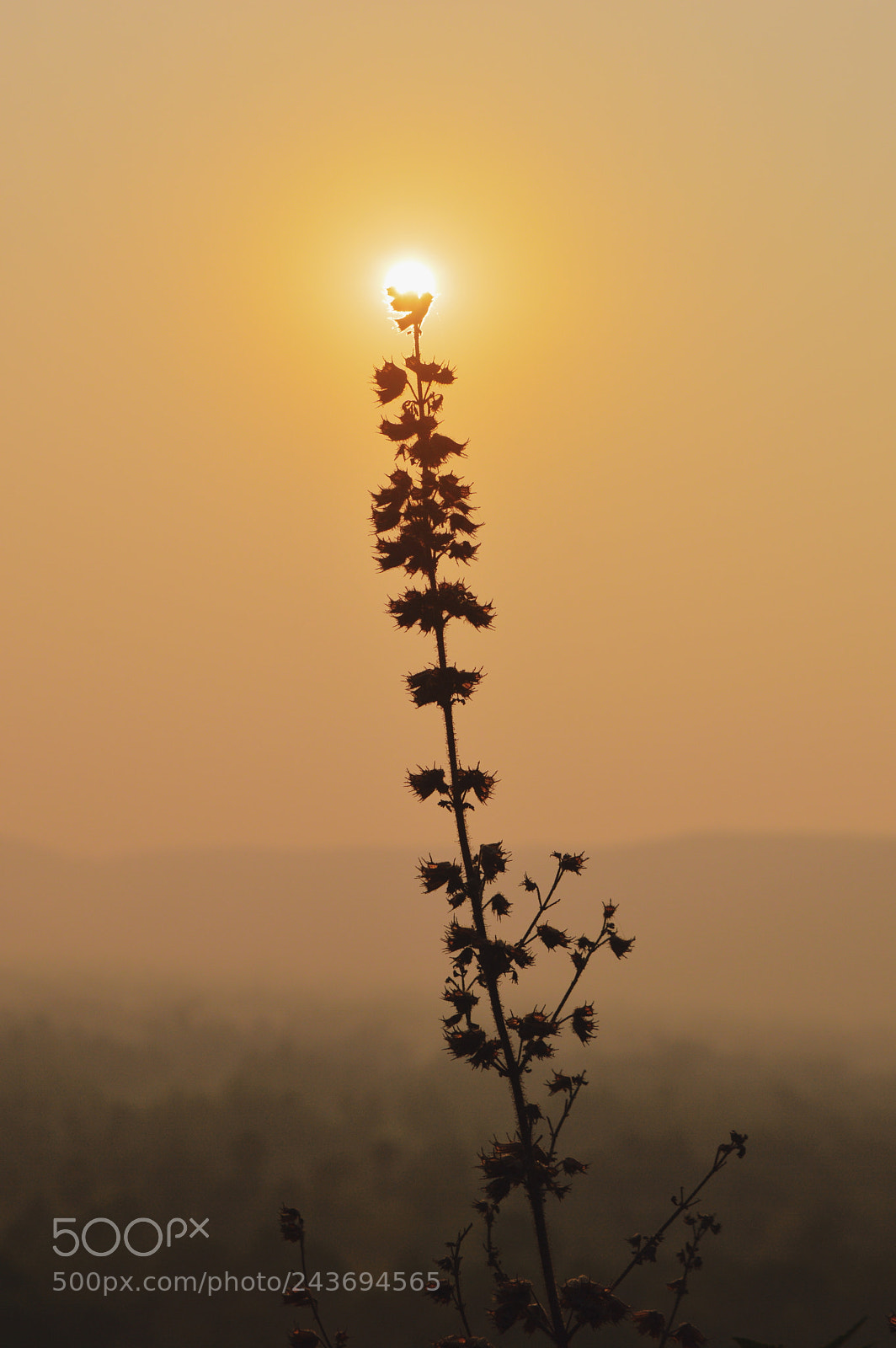 Nikon D3200 sample photo. The whitehope photography