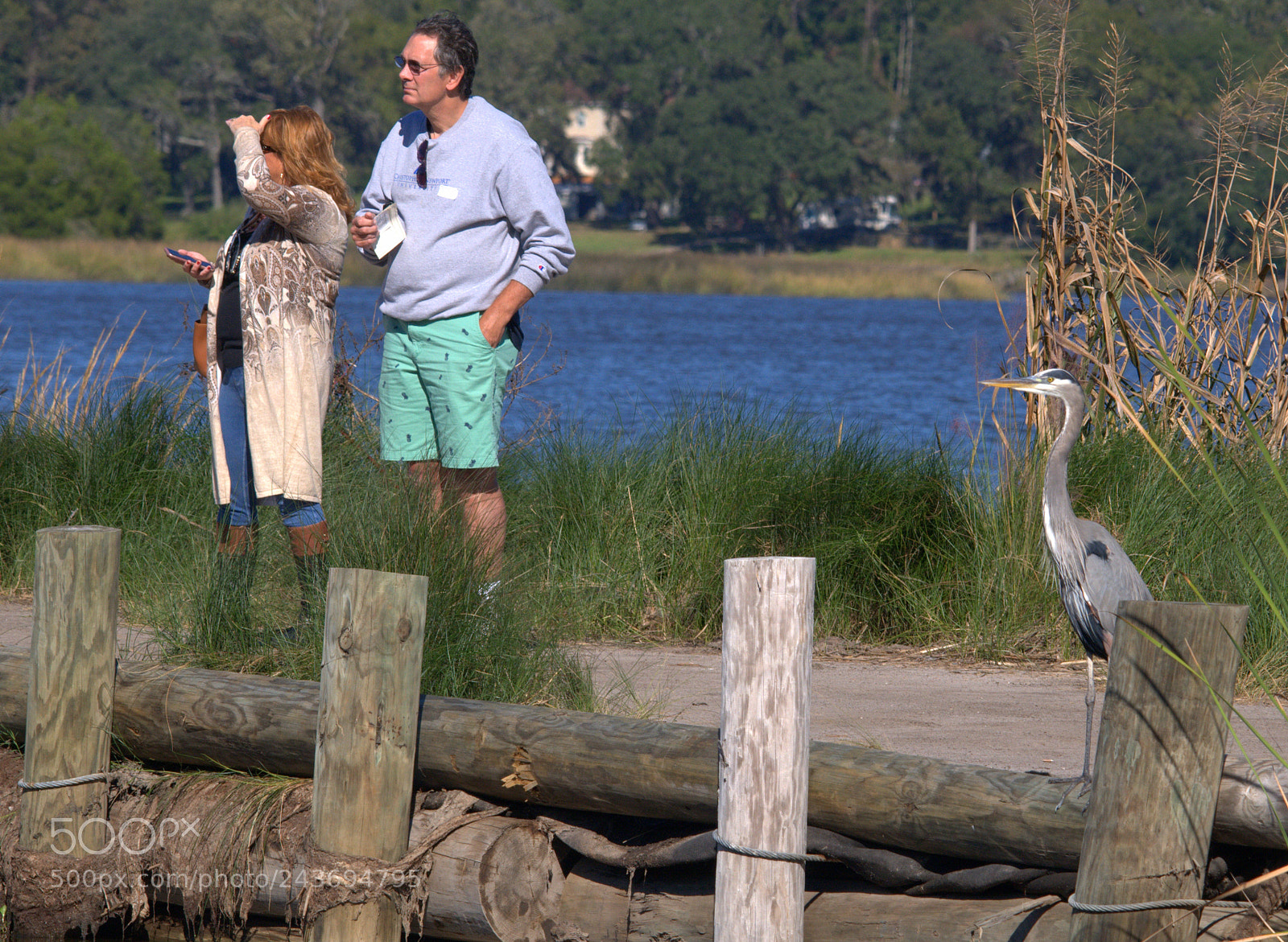 Nikon D300 sample photo. Where is the wildlife photography