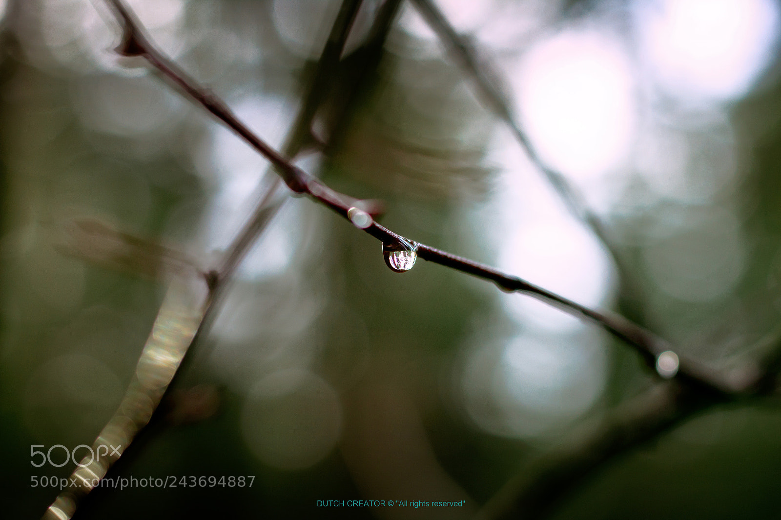 Canon EOS 1300D (EOS Rebel T6 / EOS Kiss X80) sample photo. Waterdrops on green background photography