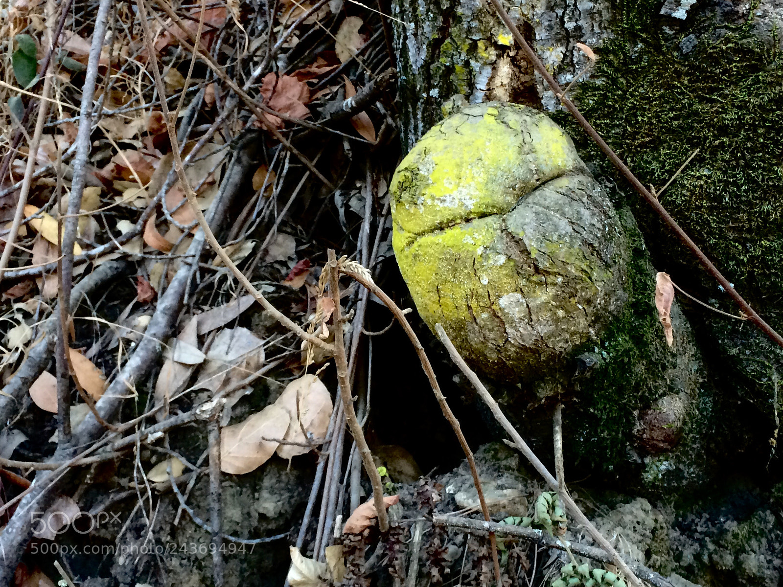Apple iPhone 5s sample photo. Faces photography