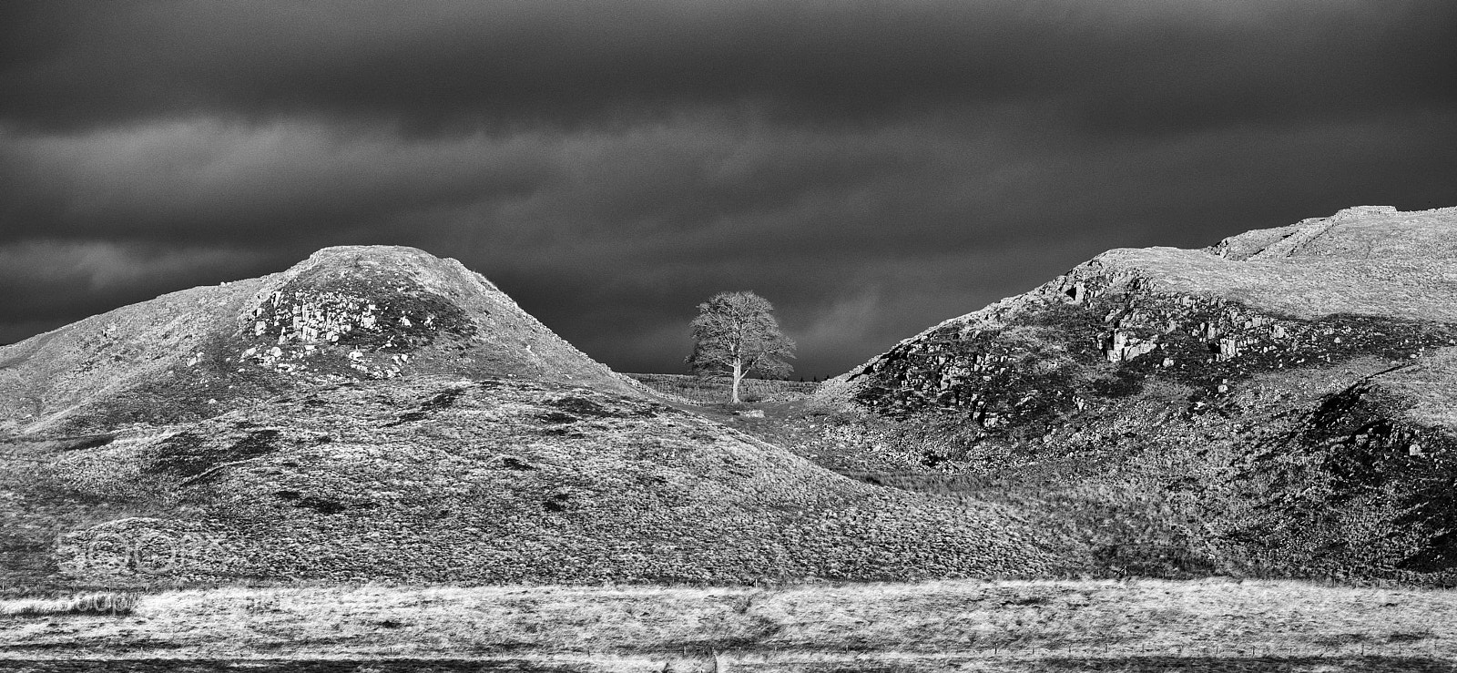 Nikon D810 sample photo. Sycamore gap photography