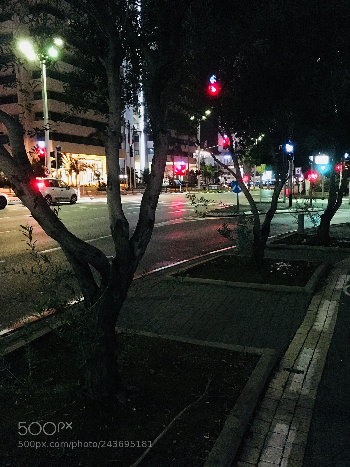 Apple iPhone SE sample photo. Night decoration photography