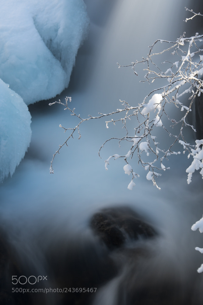 Nikon D500 sample photo. Flow photography