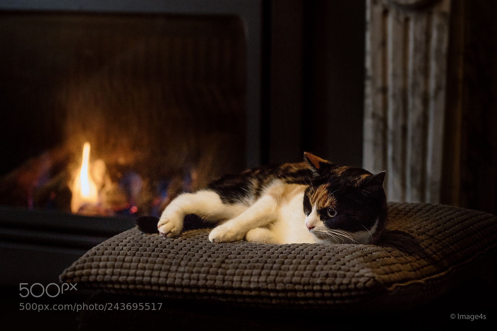 Nikon D850 sample photo. Those cosy winter nights... photography