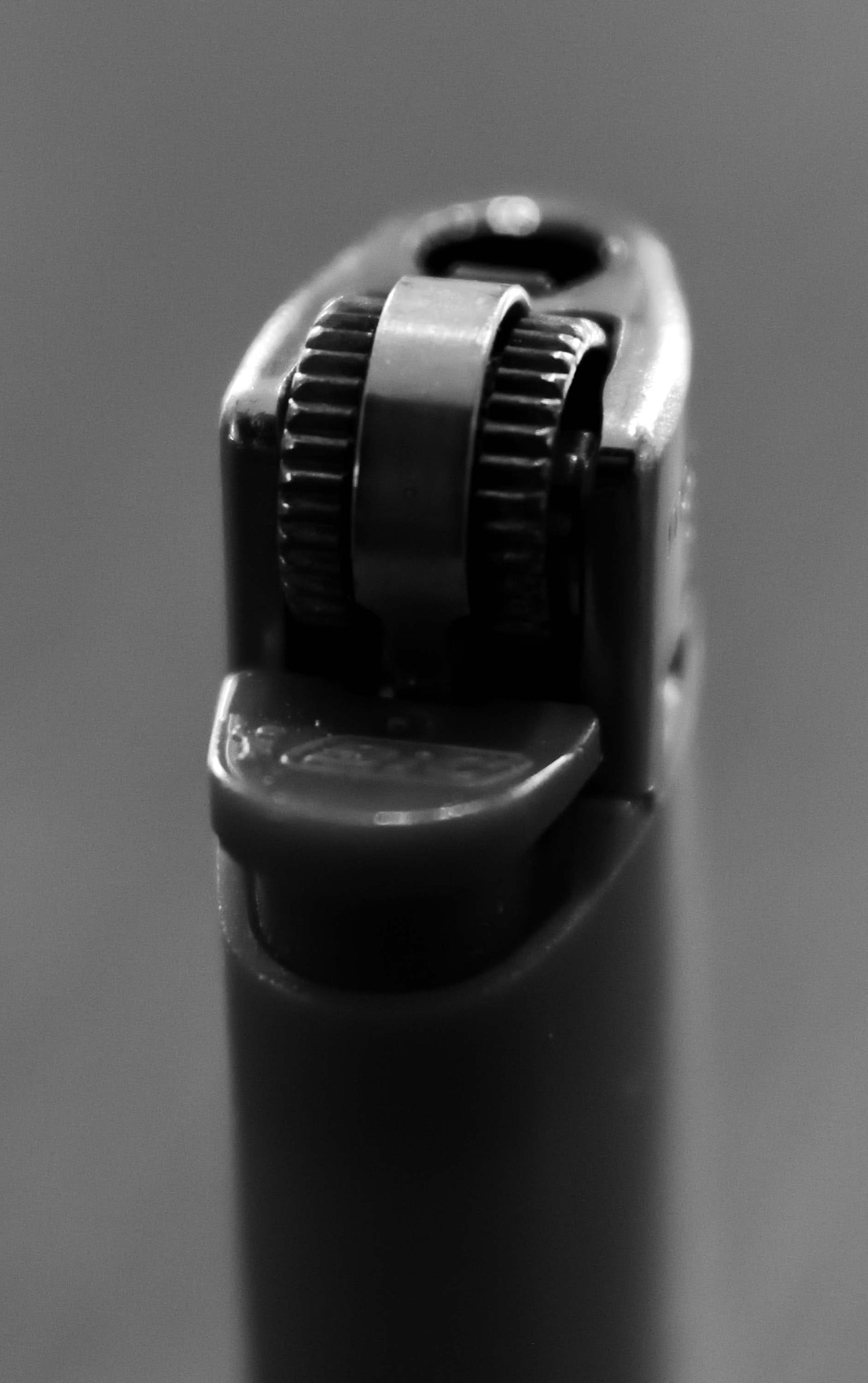 Sigma 17-70mm F2.8-4 DC Macro OS HSM | C sample photo. State switch trigger 6 photography