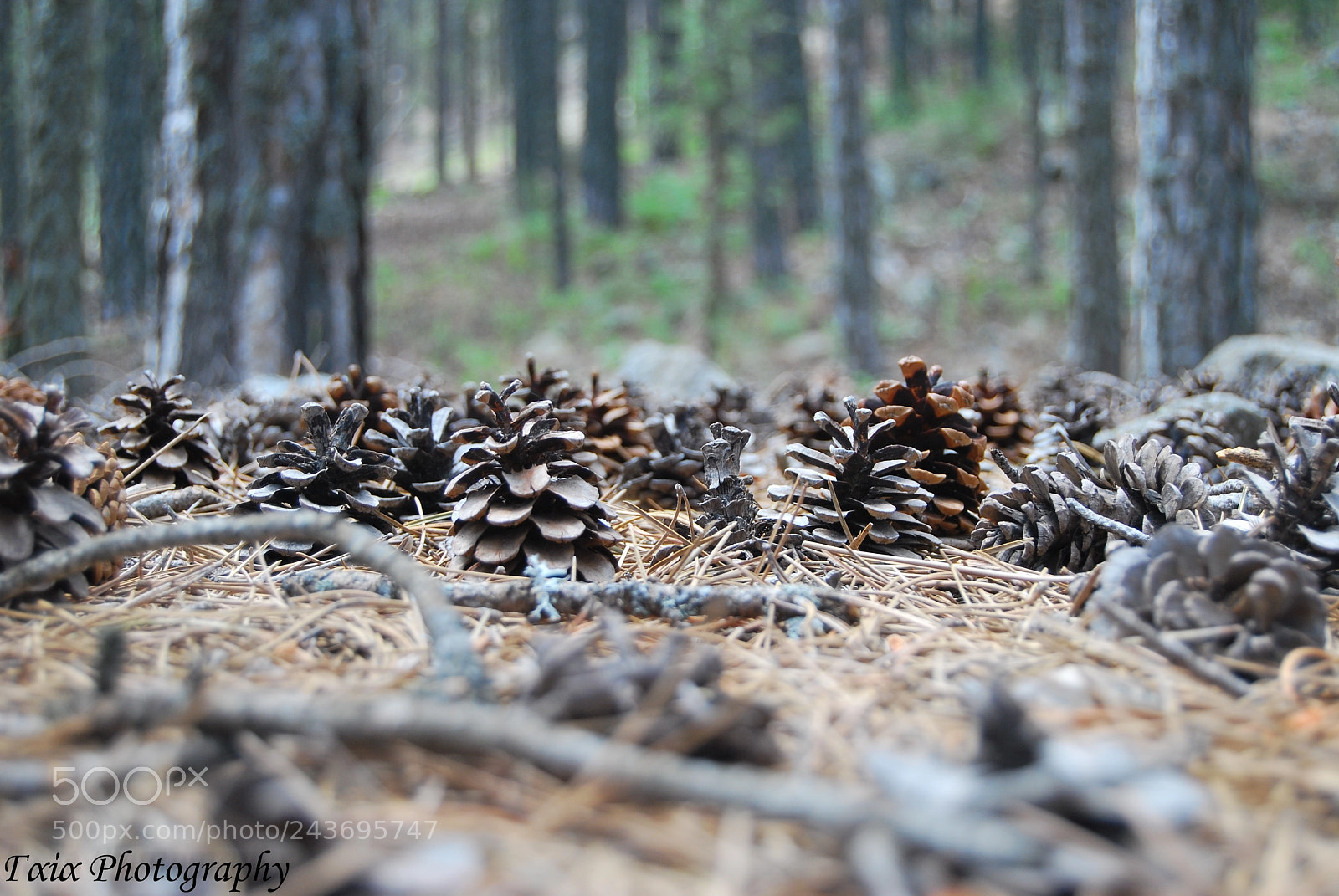 Nikon D60 sample photo. Untitled photography