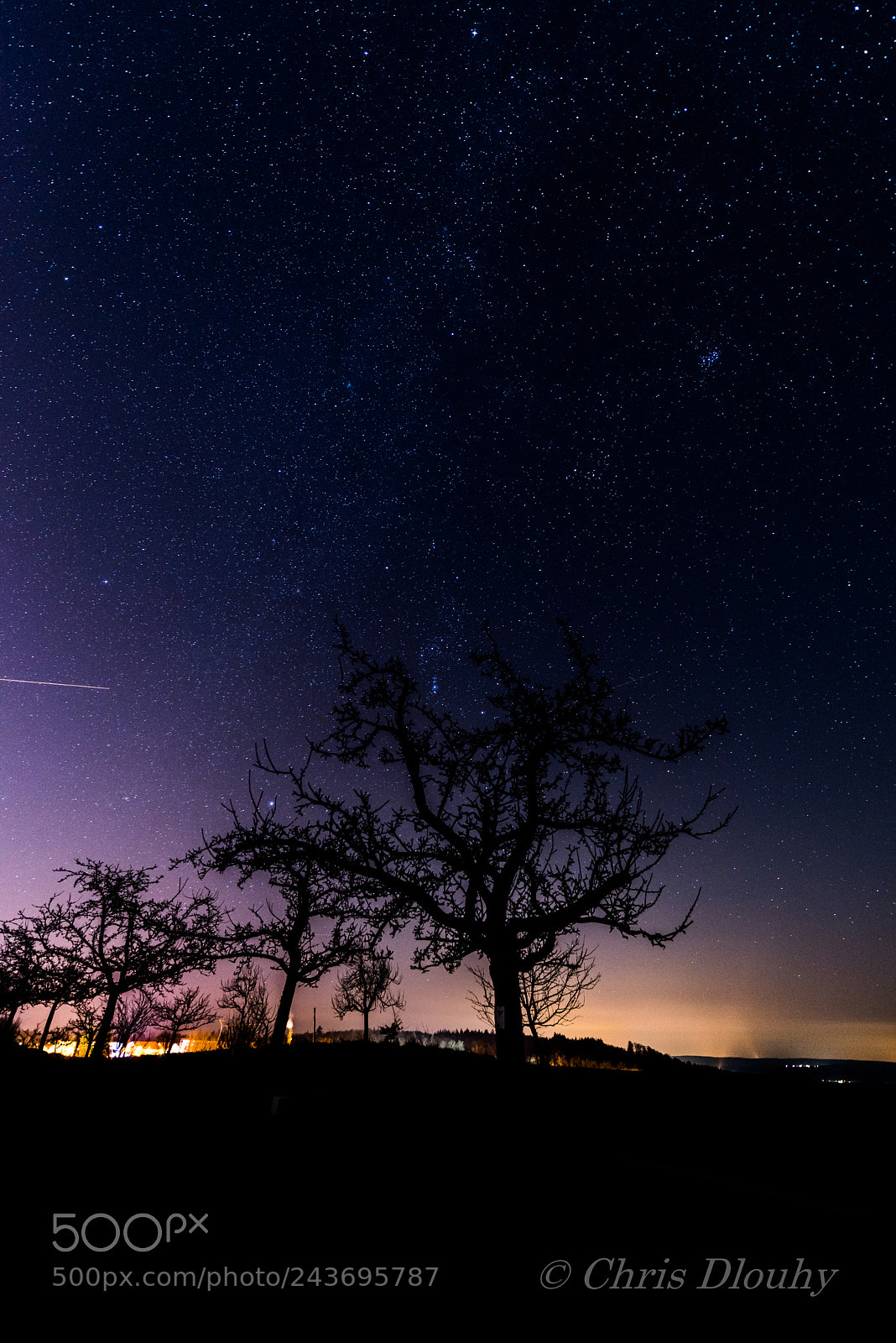 Nikon D810 sample photo. Stars photography