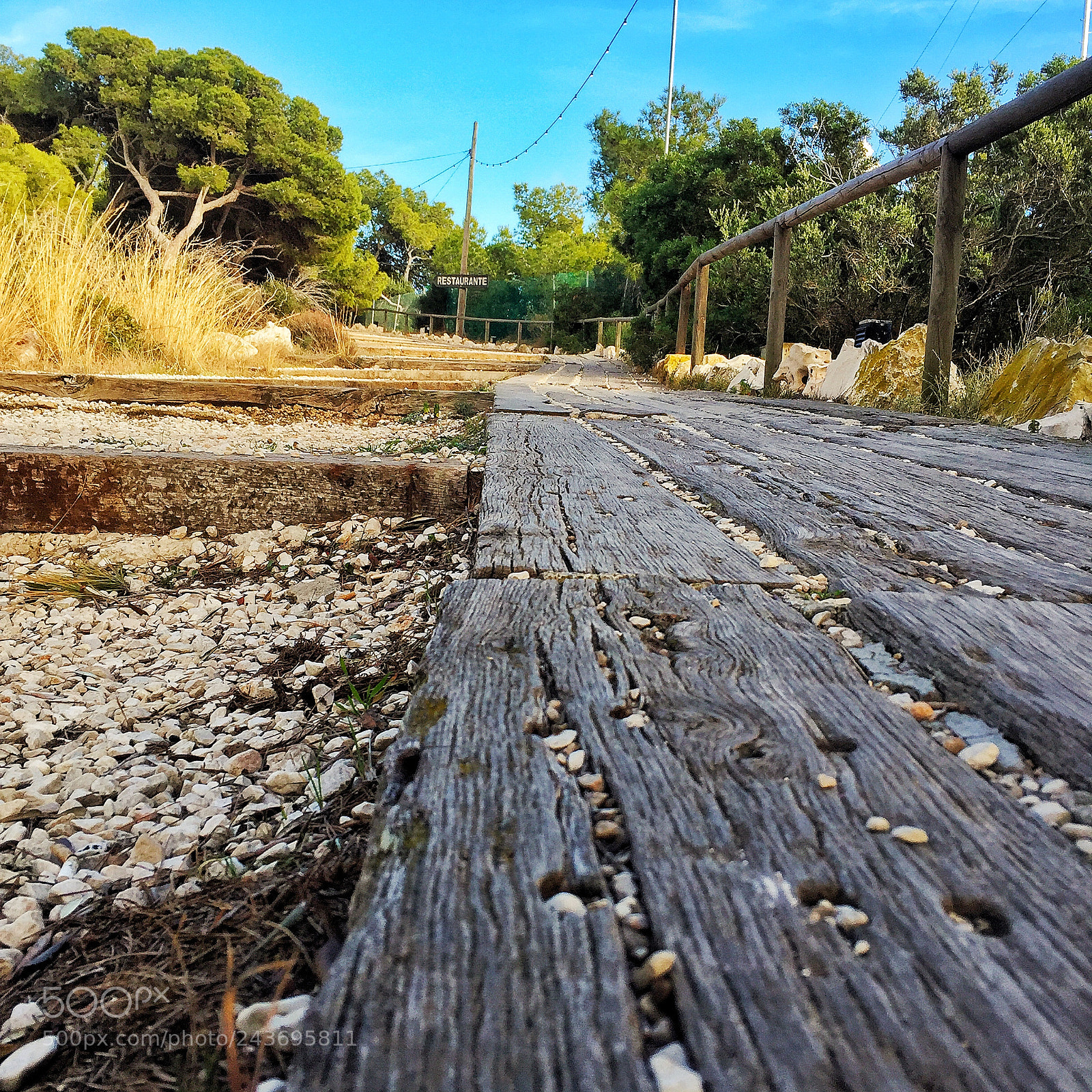 Apple iPhone 6 sample photo. I took the photo photography