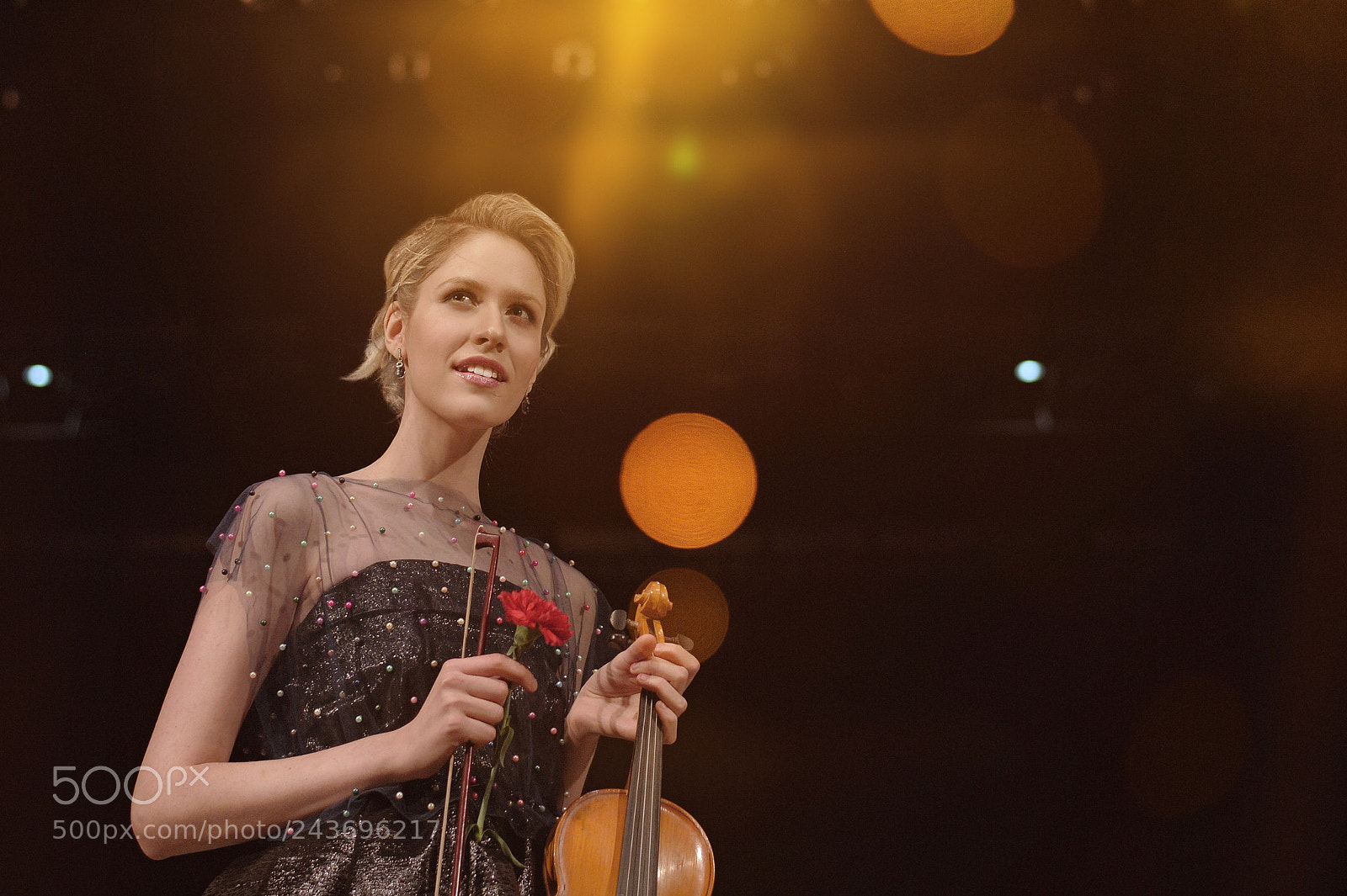 Nikon D4 sample photo. Violin photography
