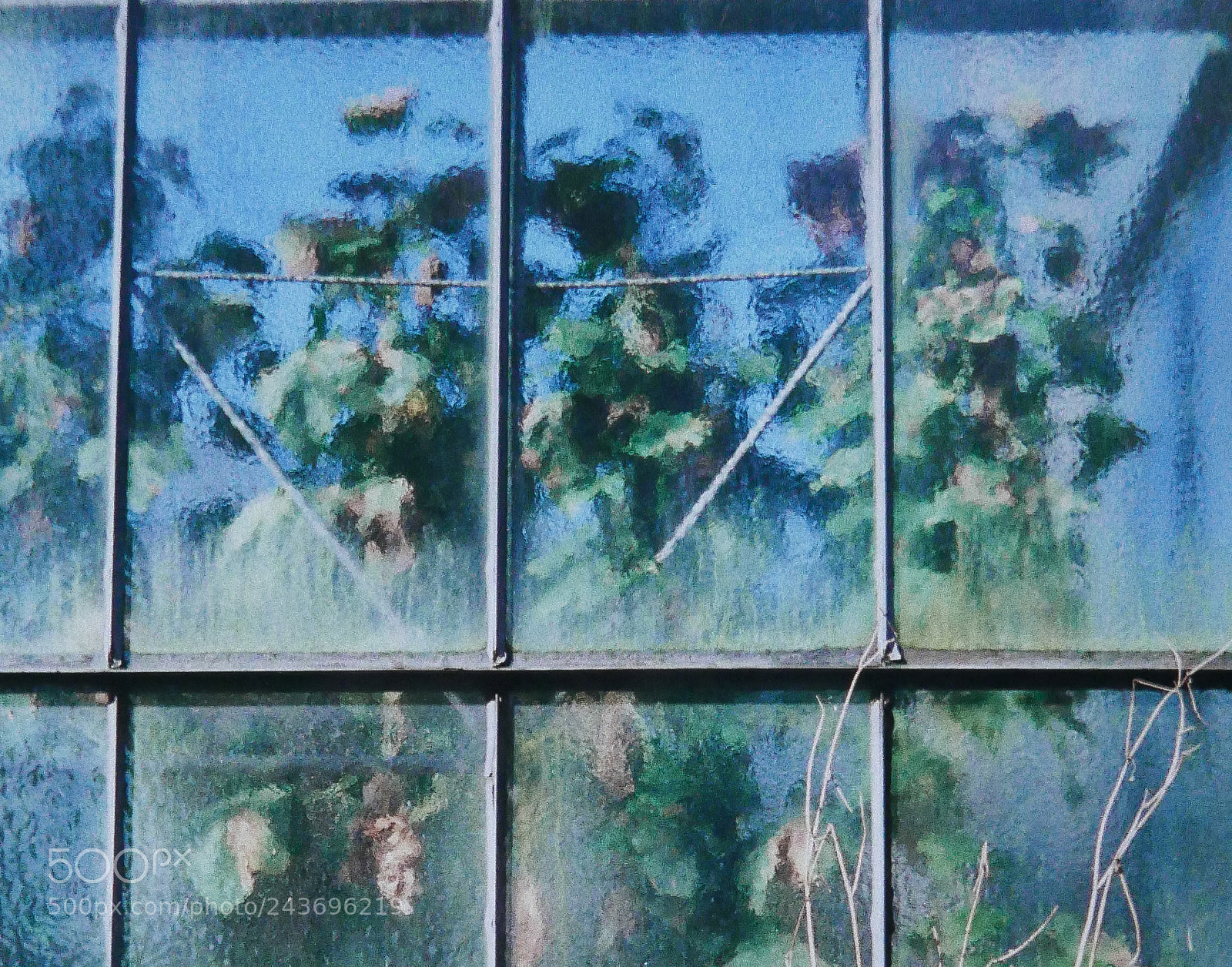 Panasonic Lumix DMC-LX100 sample photo. Hinter dem glas behind photography