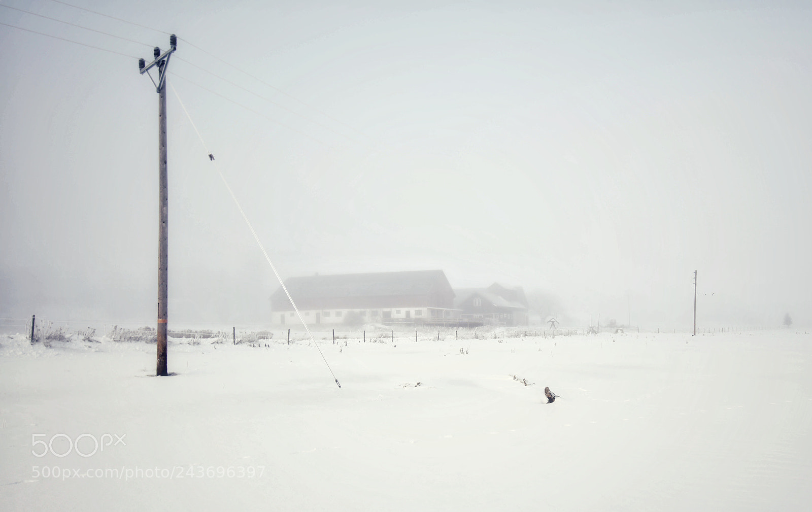 Canon EOS 5DS sample photo. Winter 2018 photography