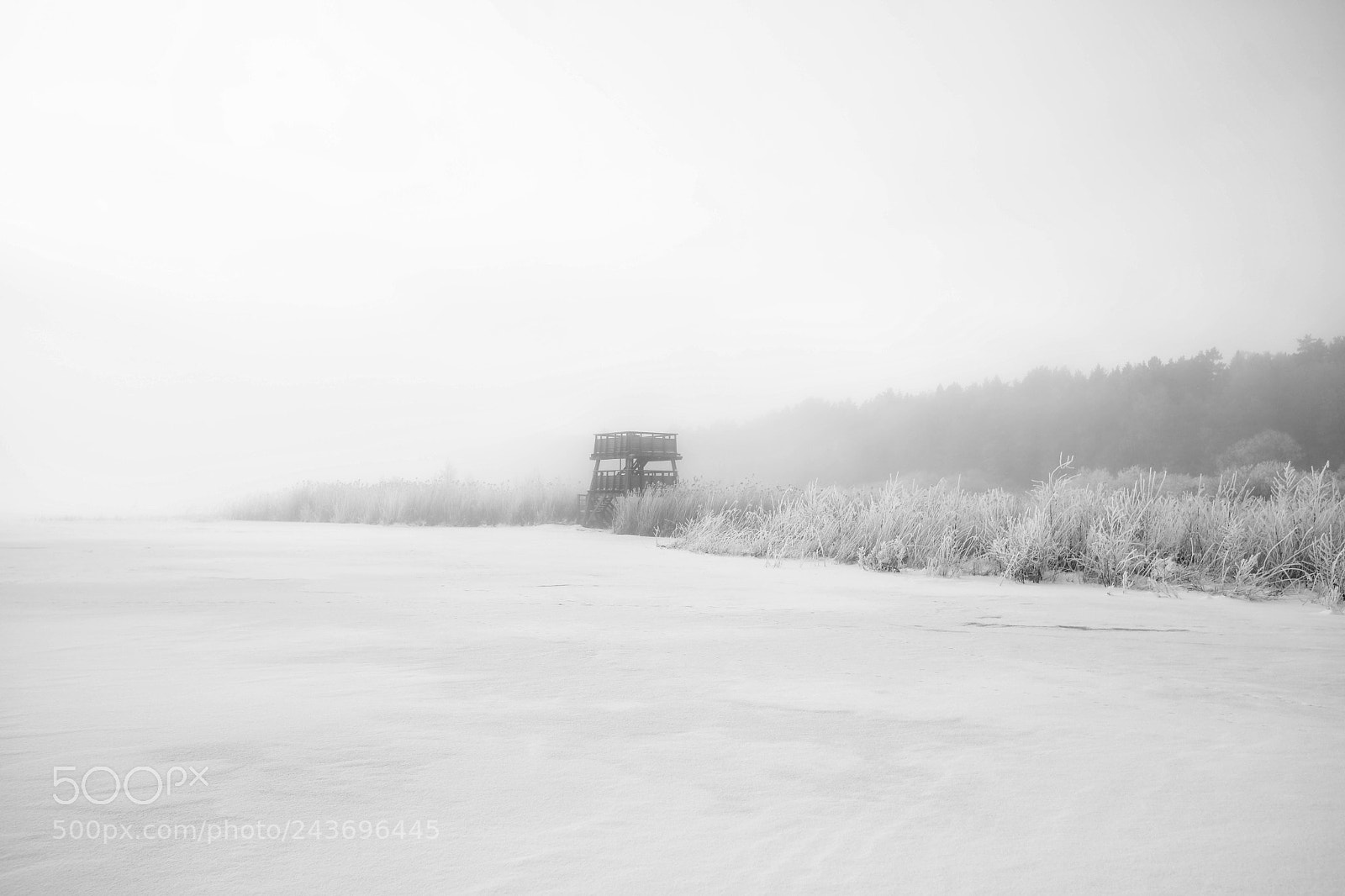 Canon EOS 5DS sample photo. Winter 2018 photography