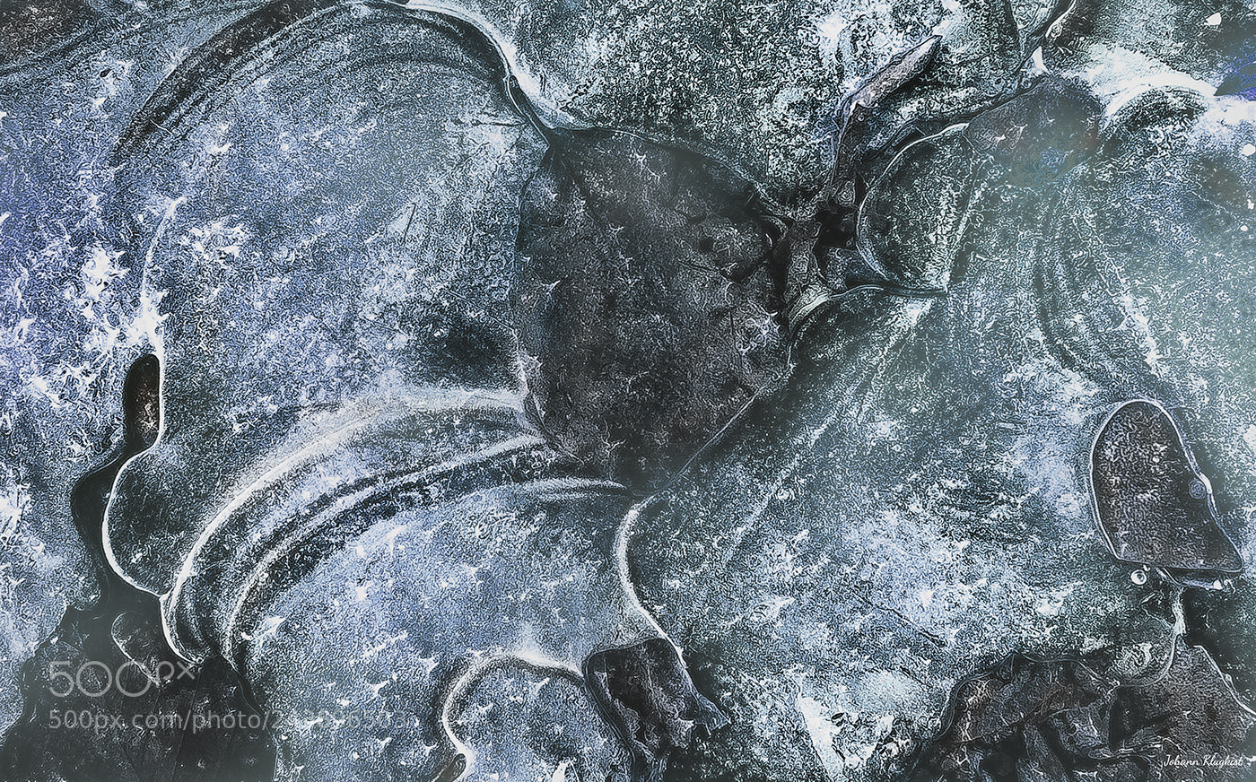 Fujifilm X10 sample photo. Ice and leaves photography