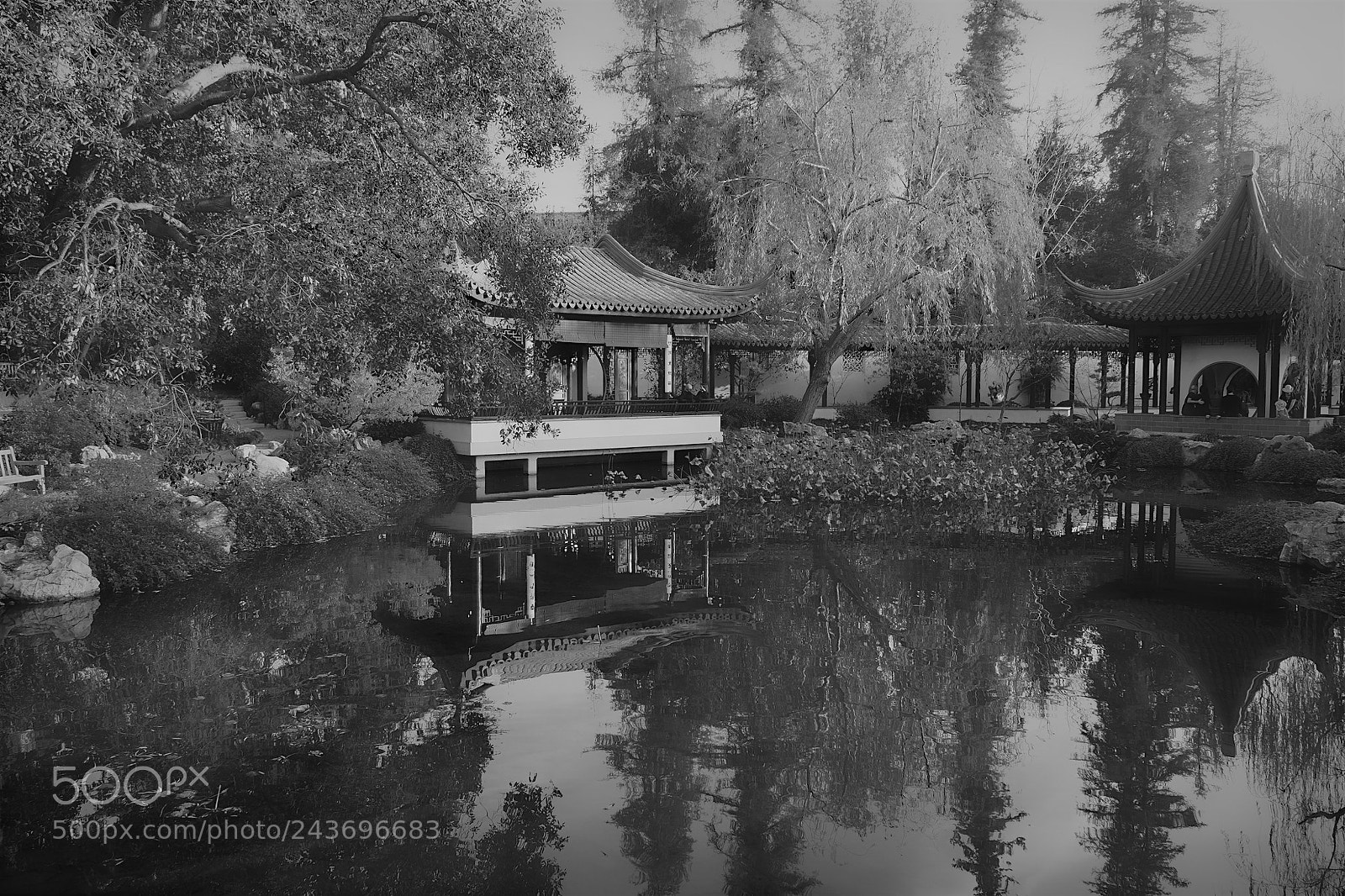 Fujifilm X-T20 sample photo. B aaa zen pond photography