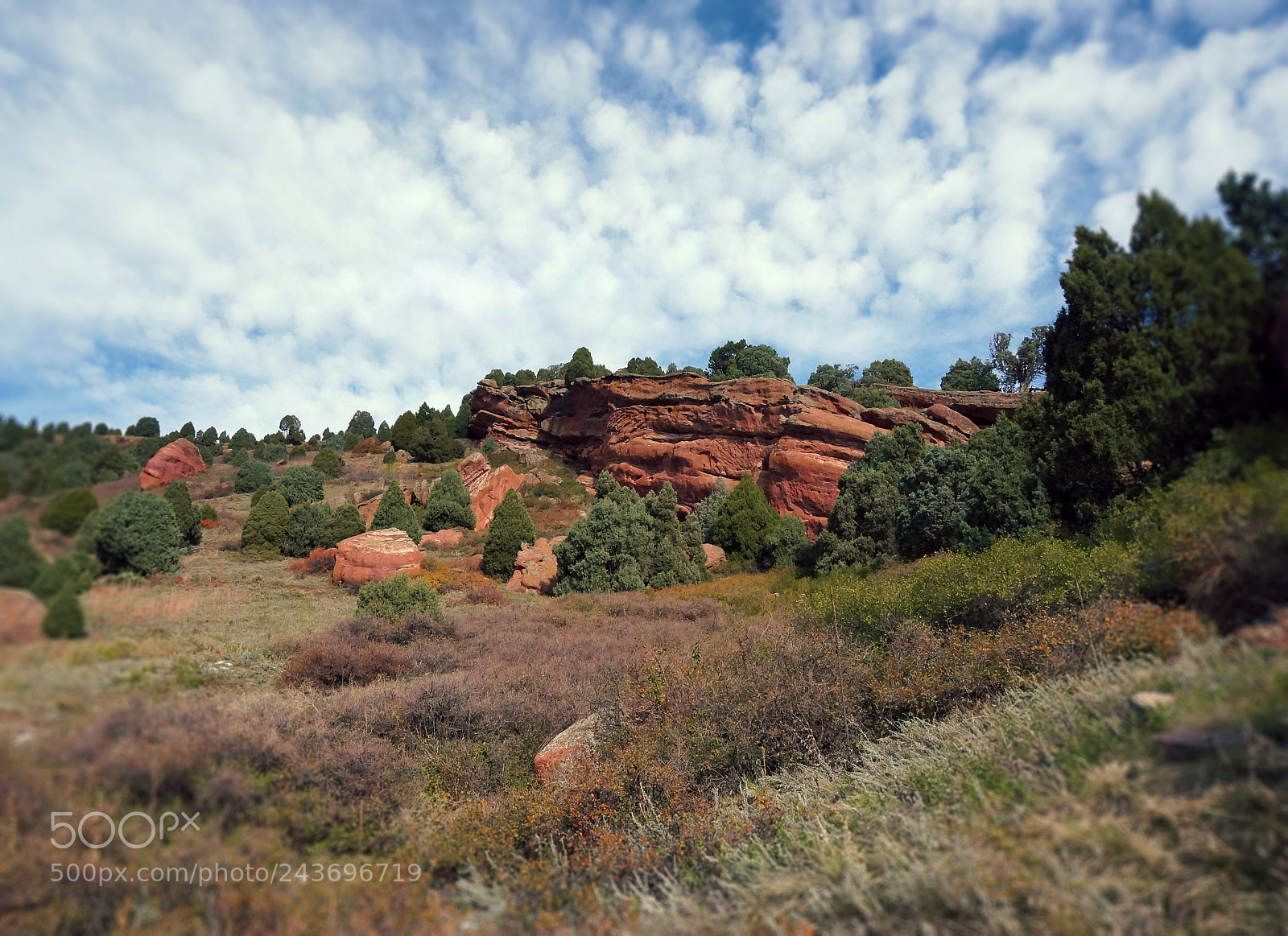 Sony Alpha NEX-3N sample photo. Morrison 2.jpg photography