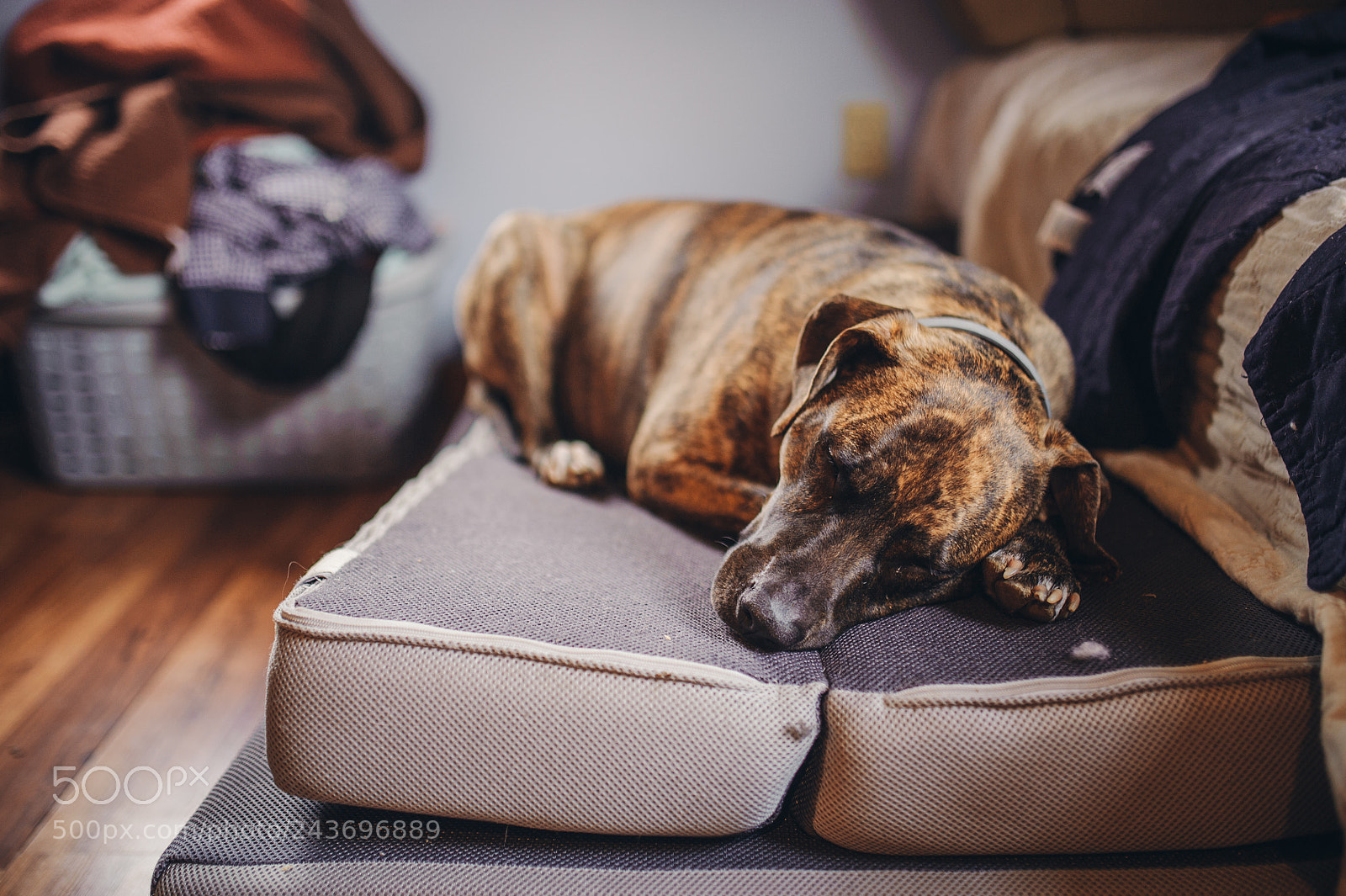 Nikon D700 sample photo. Sleeping beauty photography
