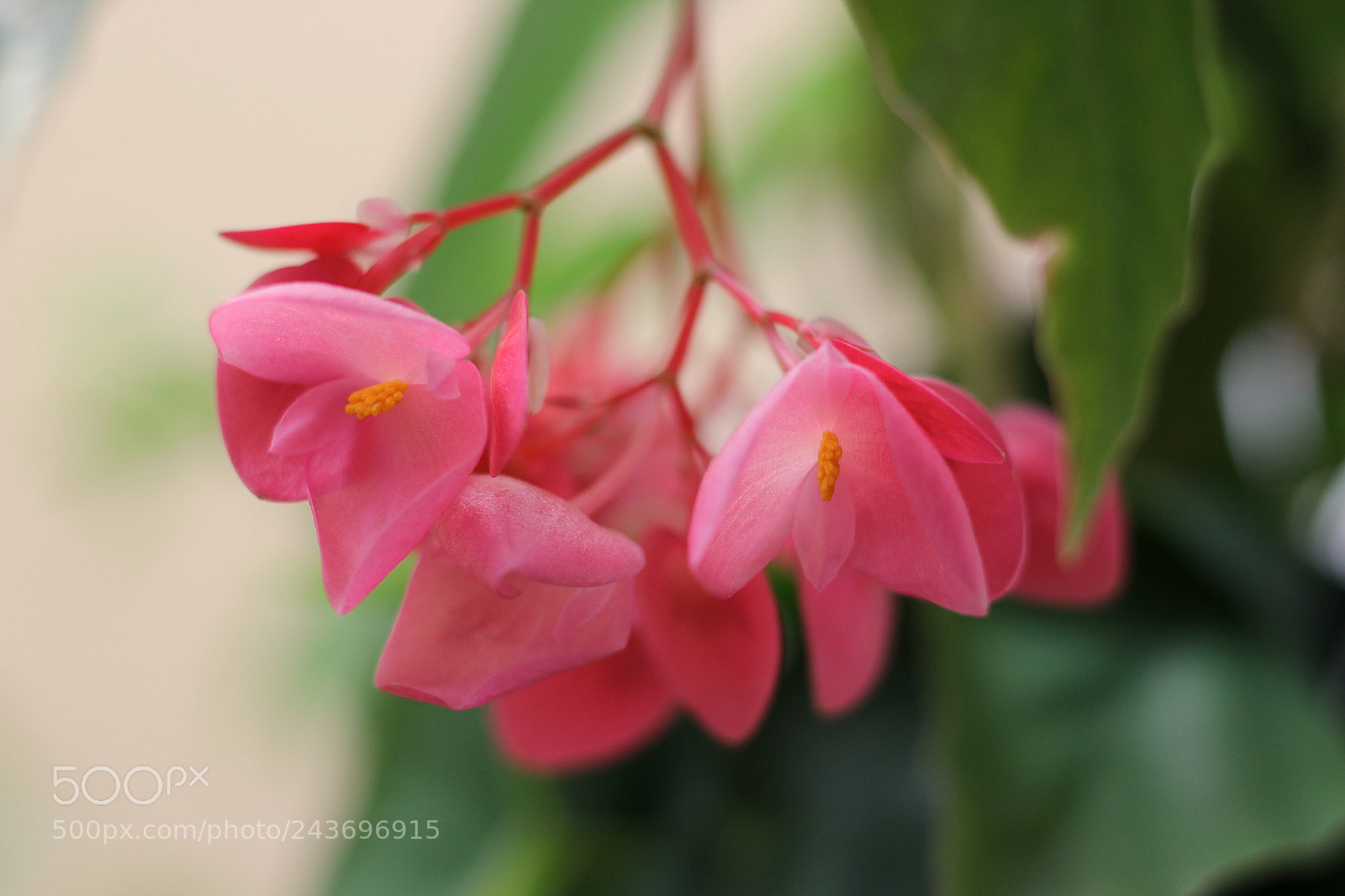 Canon EOS 1200D (EOS Rebel T5 / EOS Kiss X70 / EOS Hi) sample photo. Untitled photography
