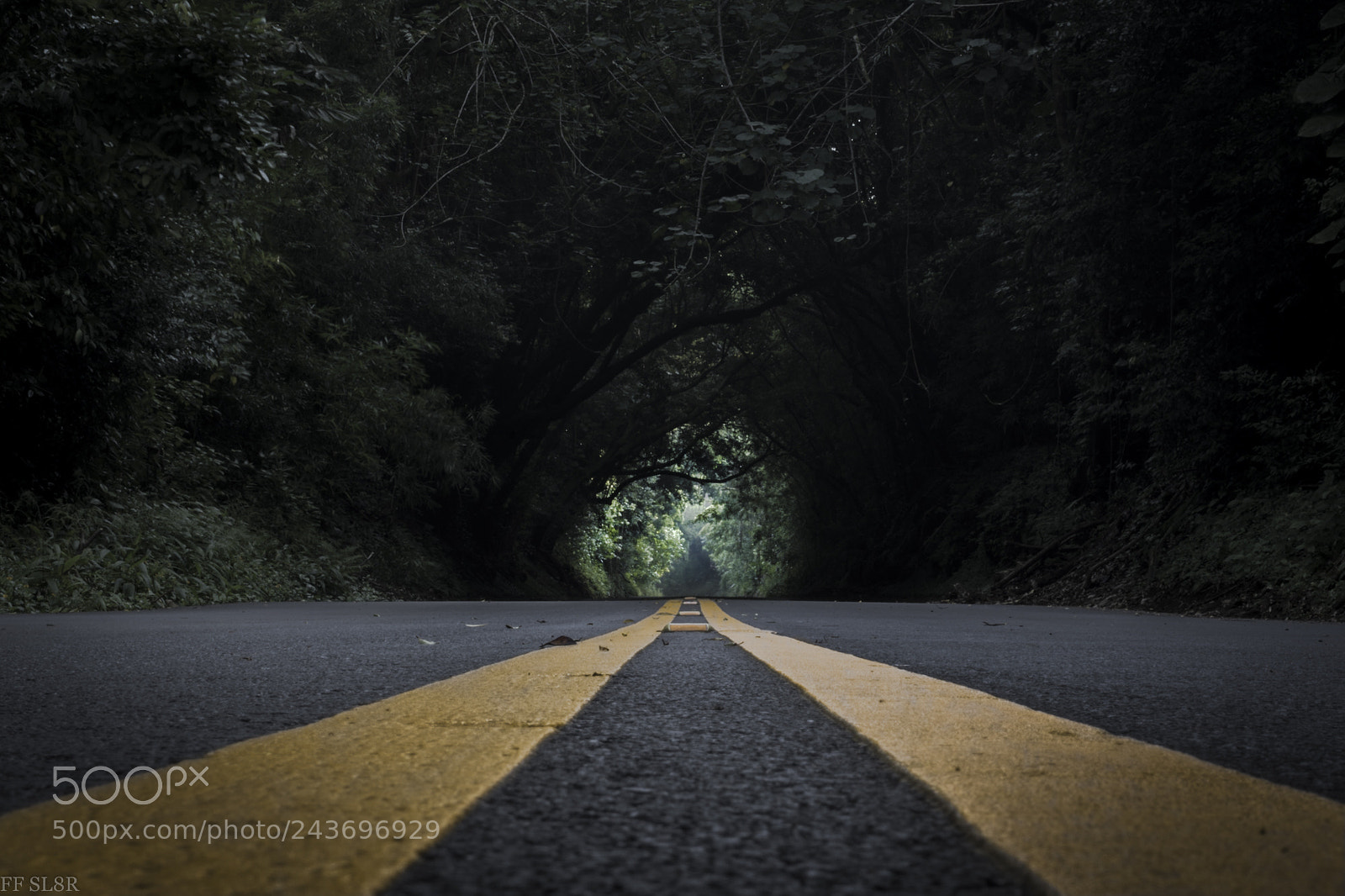 Nikon D3400 sample photo. The right road photography