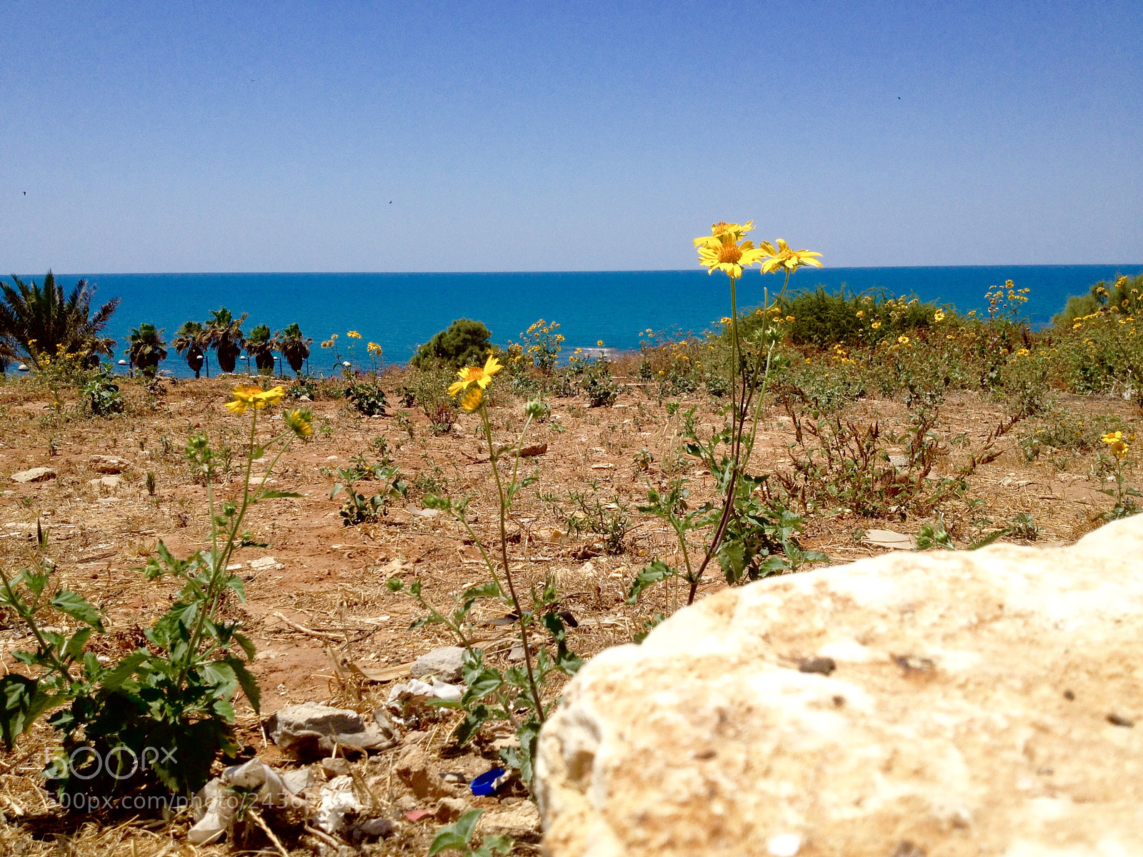 Apple iPhone 4S sample photo. Sea shoe composition photography