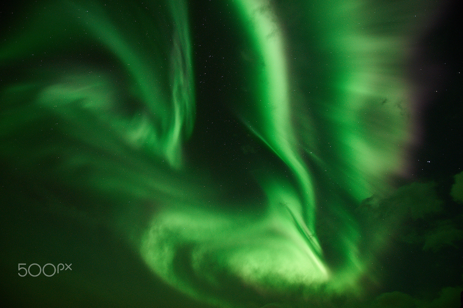Sony a7 II + 14-24mm F2.8-2.8 G sample photo. Dancing aurora photography