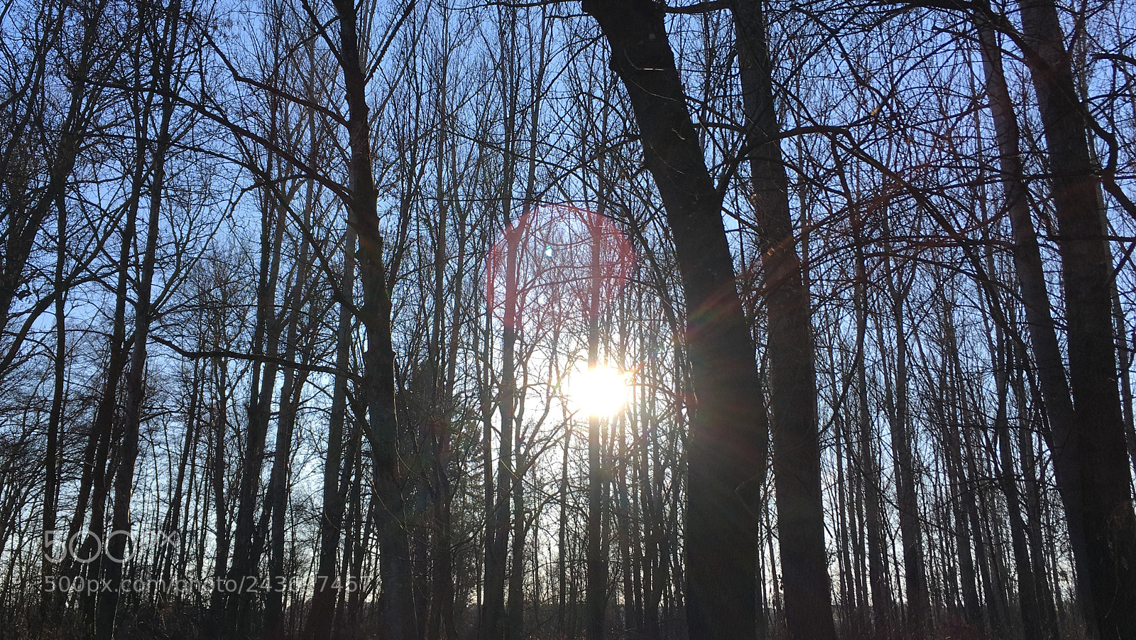 Apple iPhone SE sample photo. Untitled photography