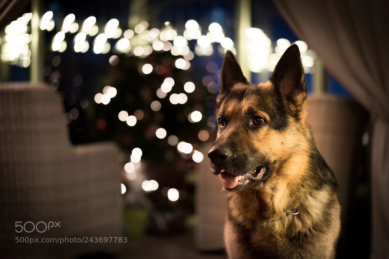 Sony a7 II sample photo. Akah photography