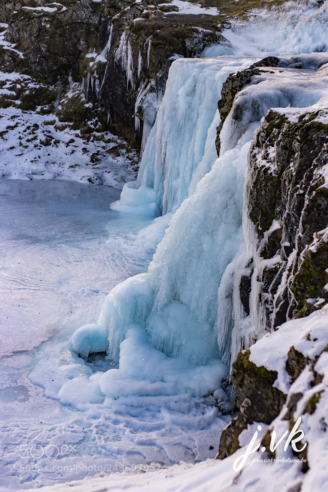 Nikon D5600 sample photo. Frozen photography