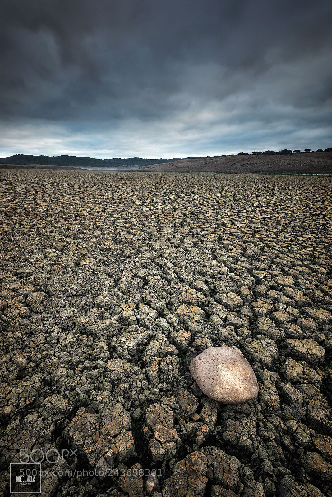 Nikon D800 sample photo. Dry . . . photography