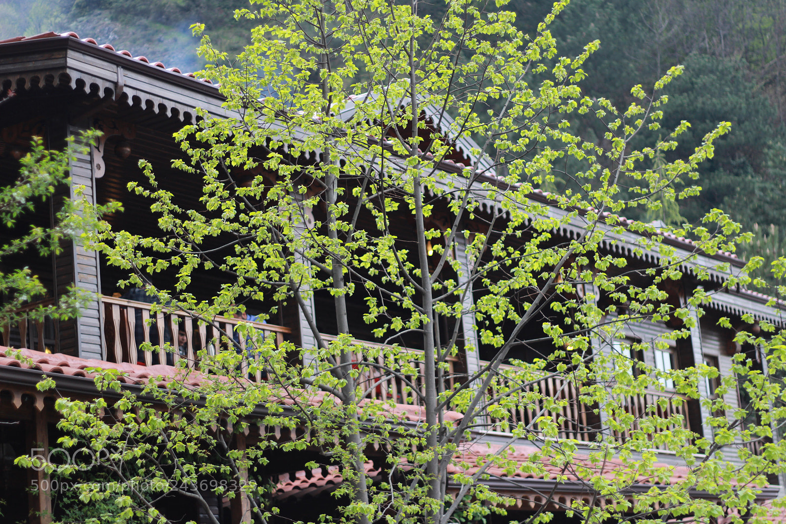 Canon EOS 100D (EOS Rebel SL1 / EOS Kiss X7) sample photo. Untitled photography