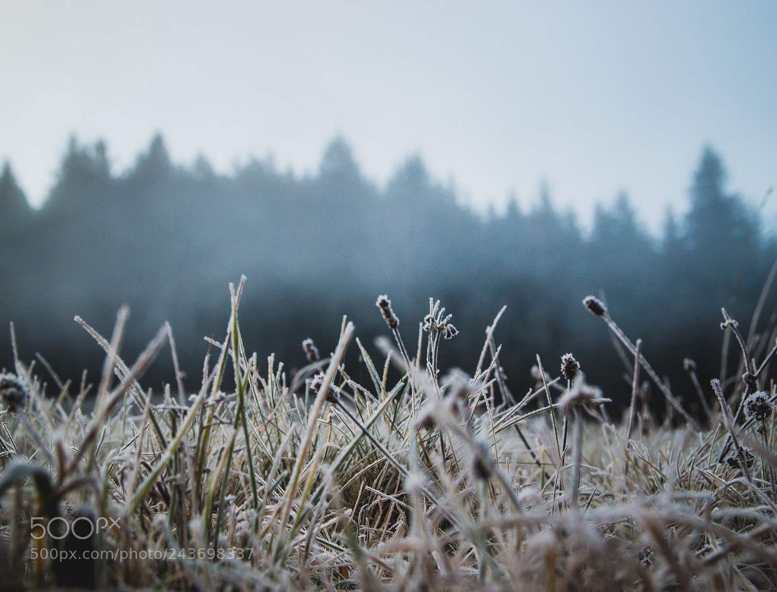 Nikon D3200 sample photo. Morning photography