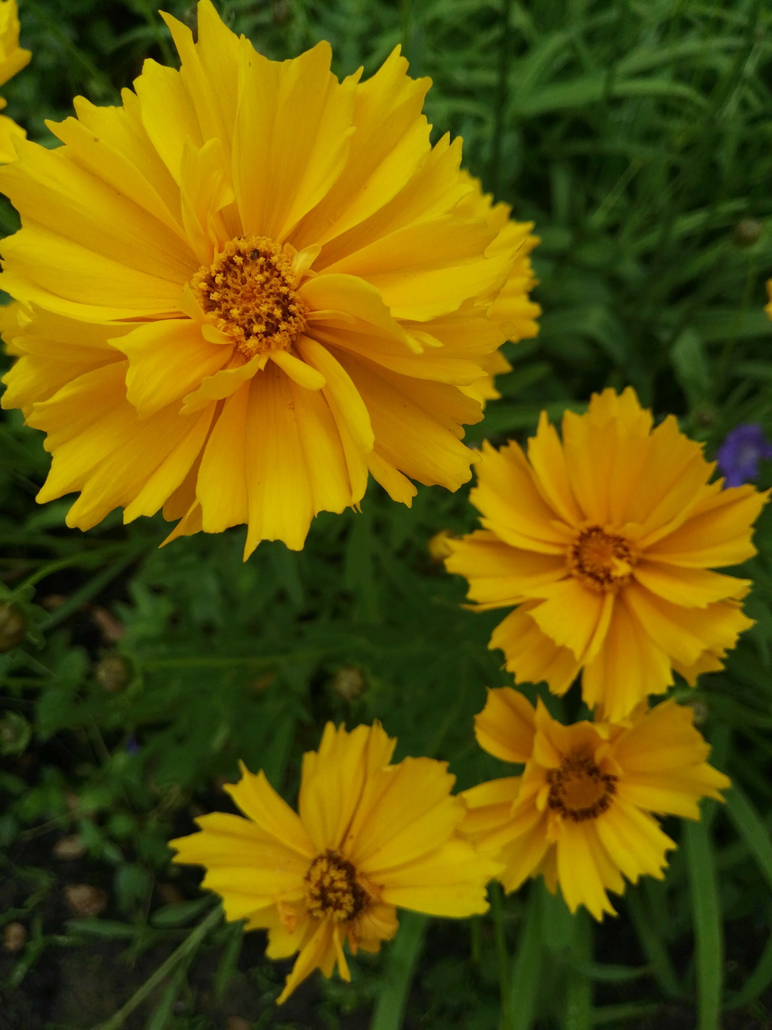 HUAWEI GX8 sample photo