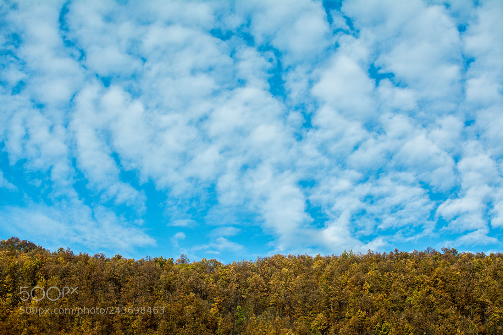 Nikon D7100 sample photo. The sky photography
