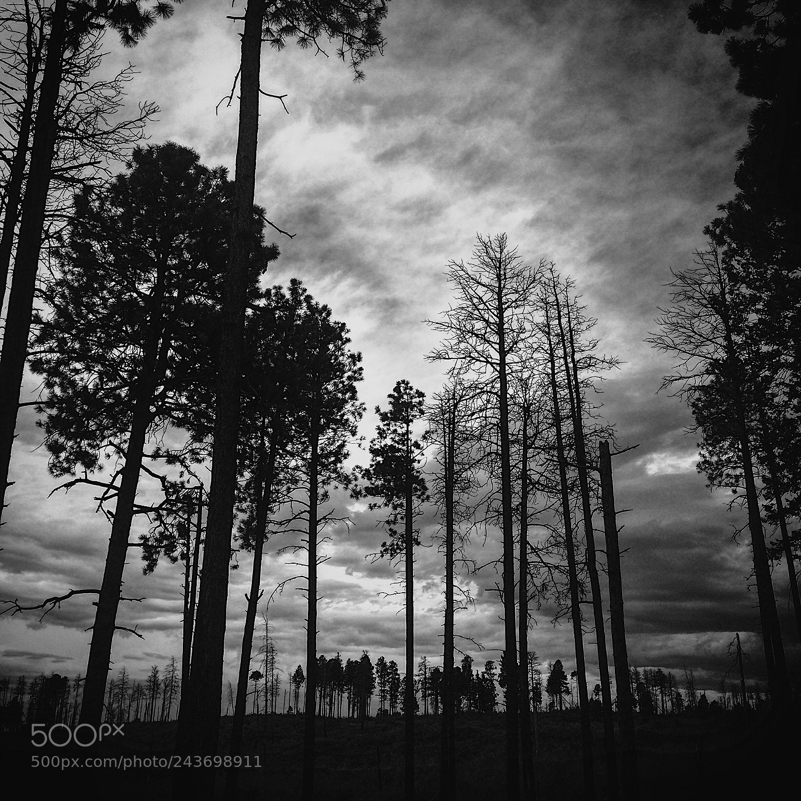 Apple iPhone 5s sample photo. Jemez mountains nm photography