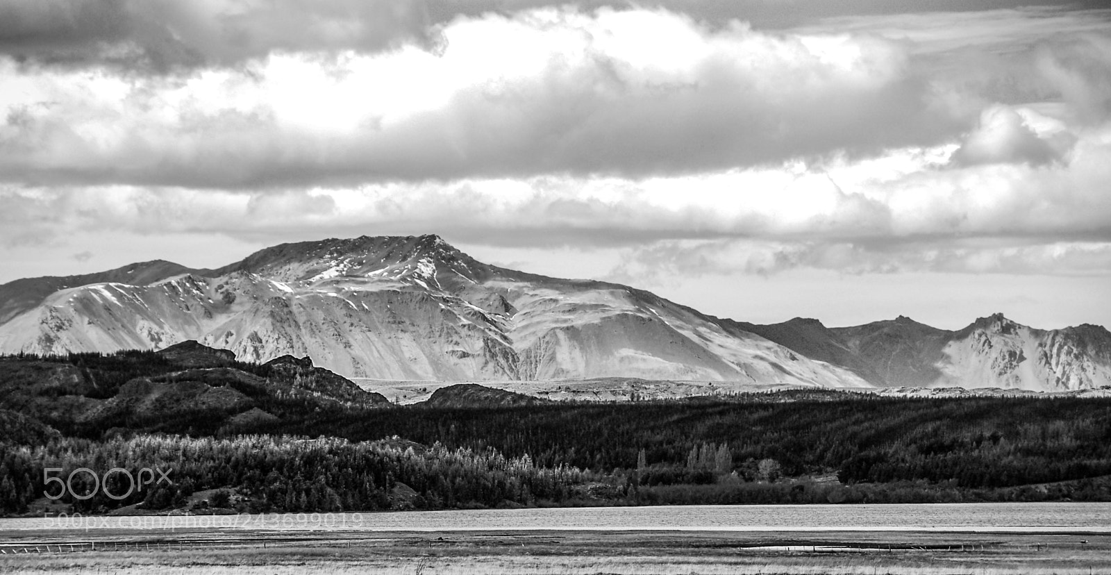 Nikon D50 sample photo. On the way to photography