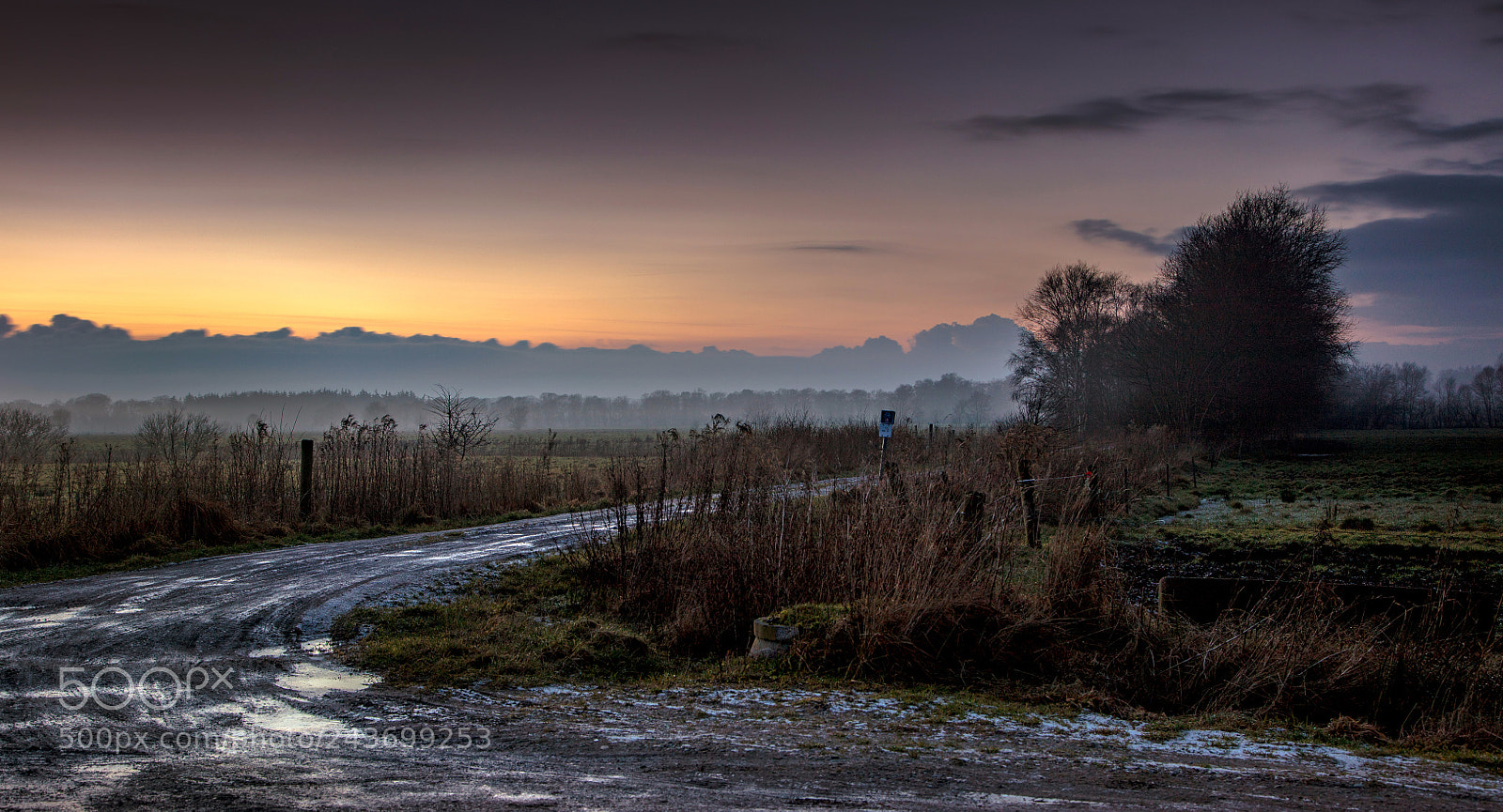 Canon EOS 5DS R sample photo. Mose efter solnedgang photography