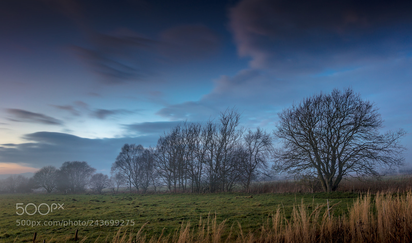 Canon EOS 5DS R sample photo. Lille vildmose stemning photography