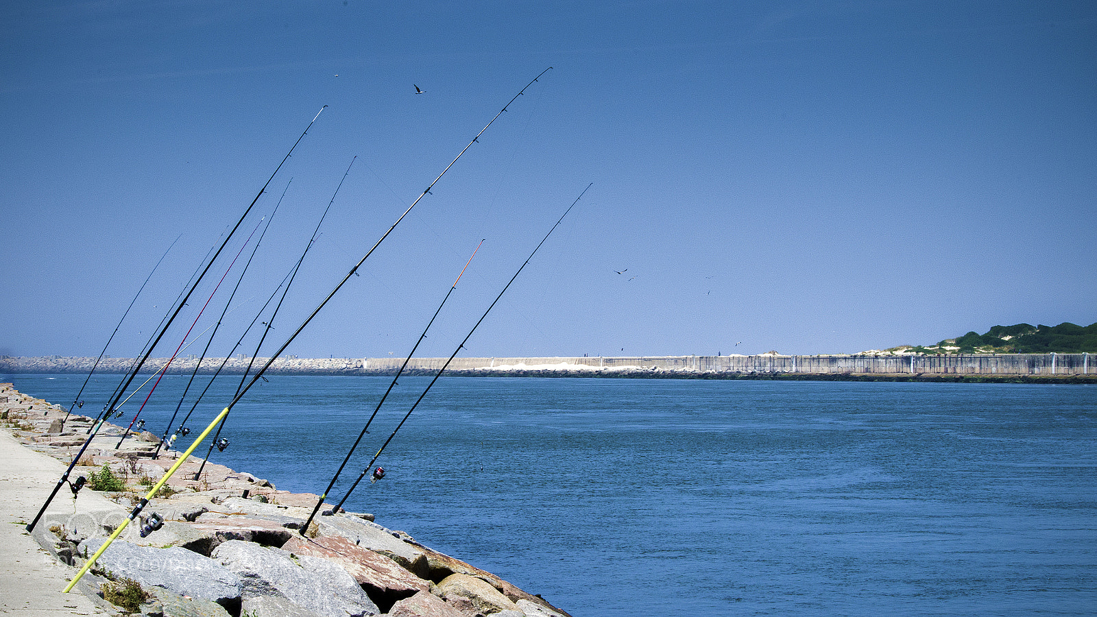 Pentax K-50 sample photo. Fishing photography
