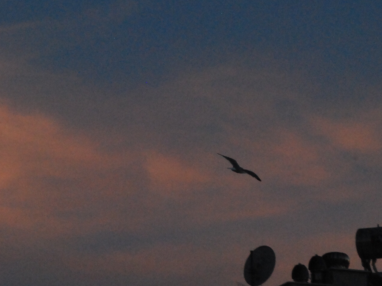 Nikon D60 sample photo. High flights photography