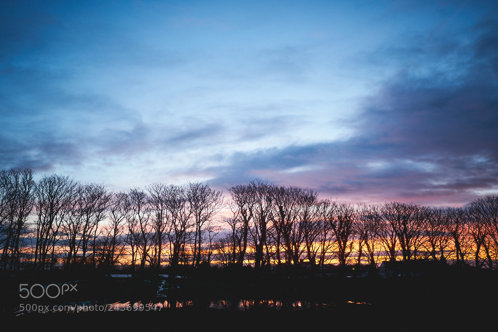 Sony a7R II sample photo. Day twenty four photography